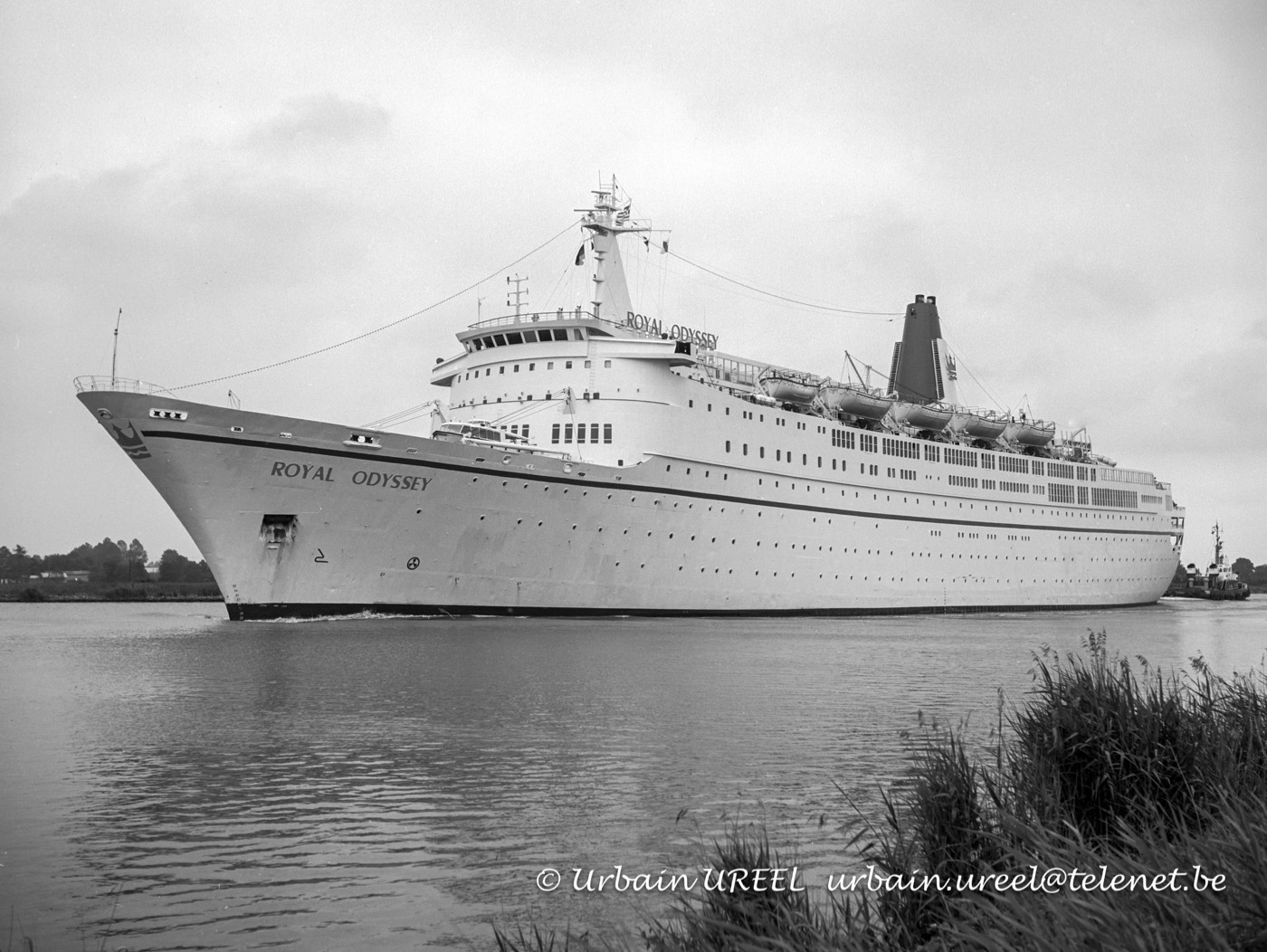 ROYAL ODYSSEY (°1964)