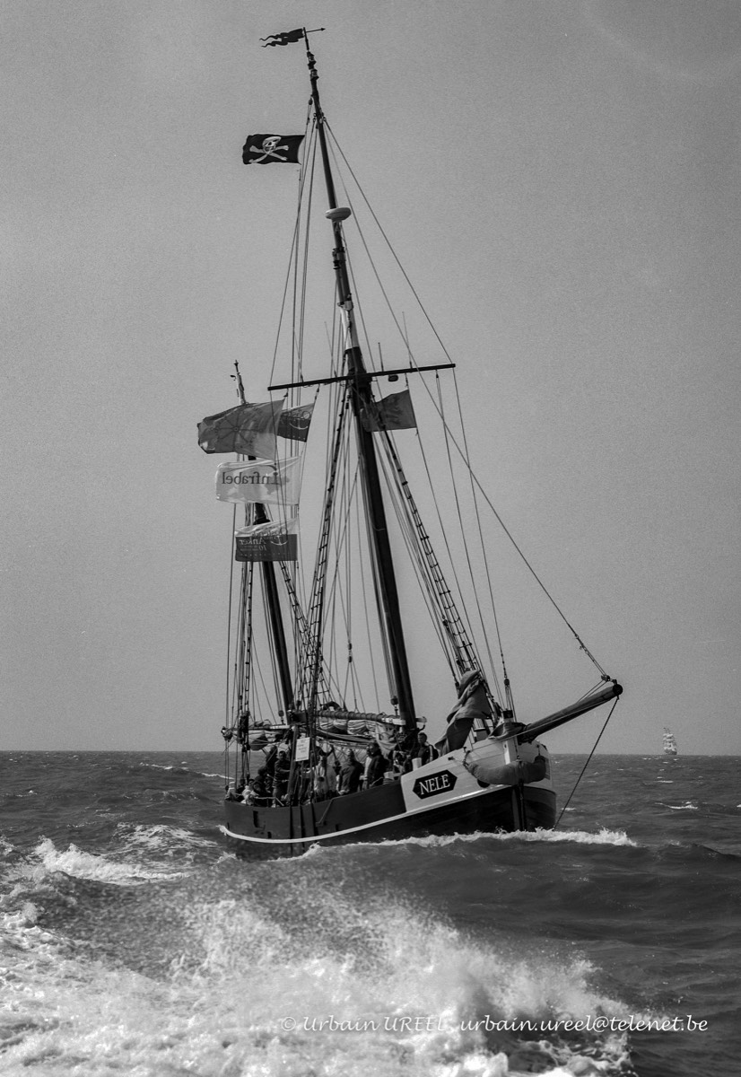 NELE (°2005) MAY 2009