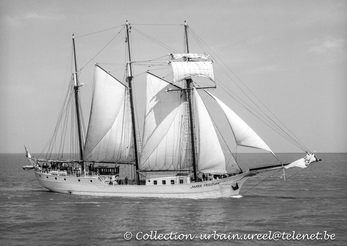 MARE FRISIUM (°1916) MAY 2004