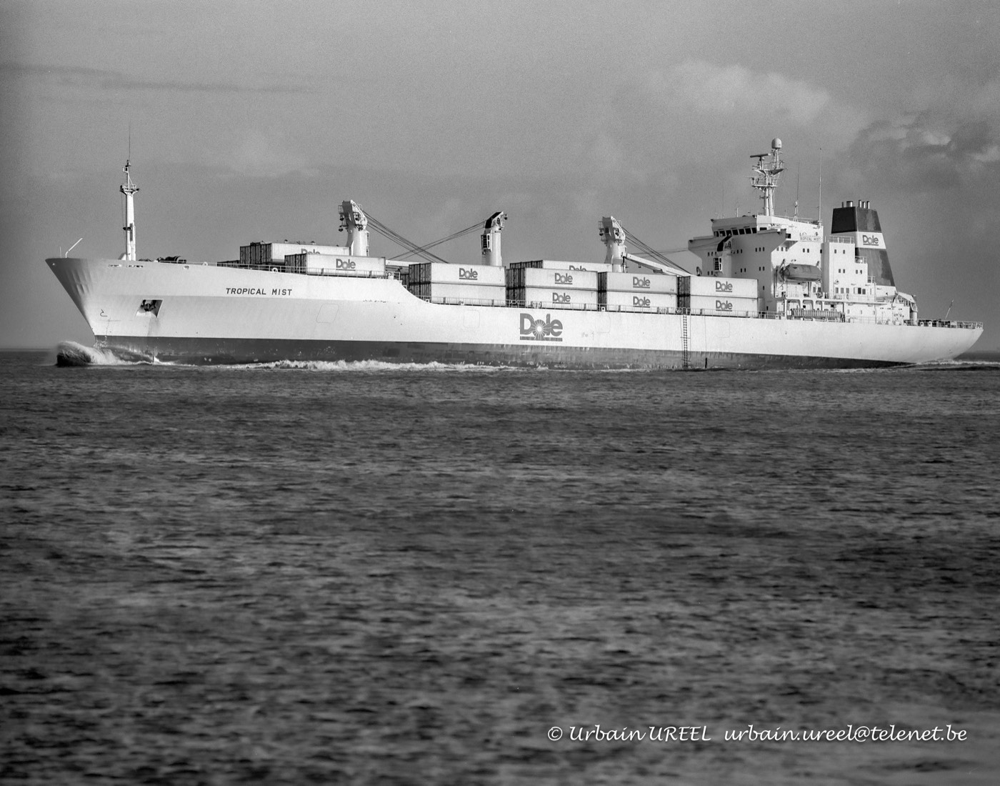 TROPICAL MIST (°86) 14 JAN 1994