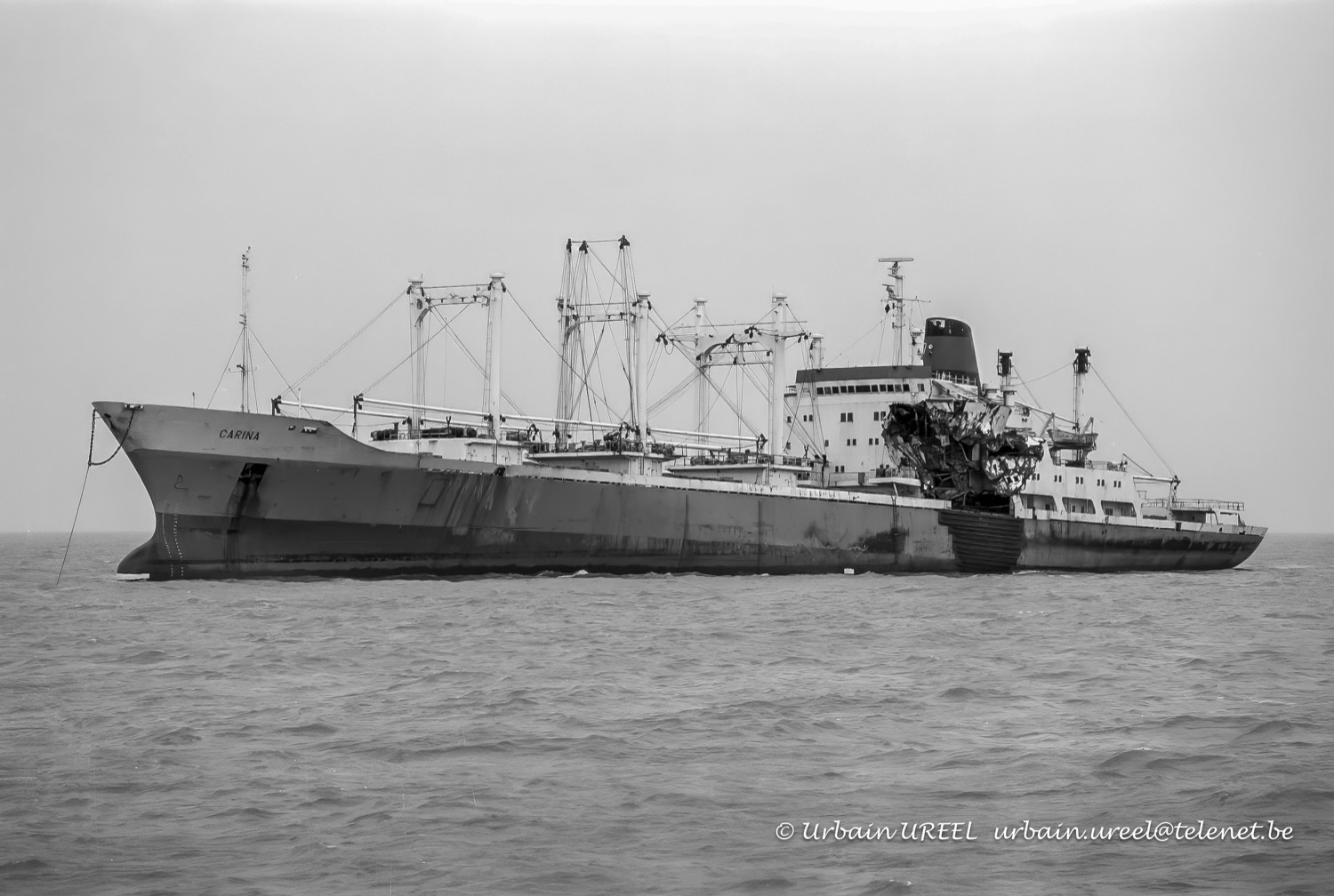 CARINA (°1972) 15 FEB 1996