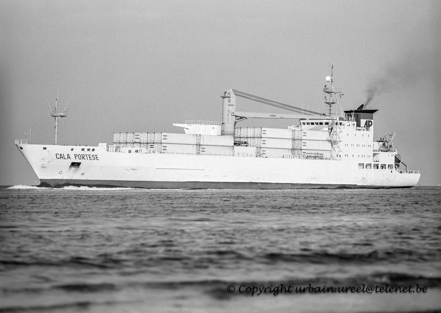 CALA PORTESE(°1990) 13 AUG 1993