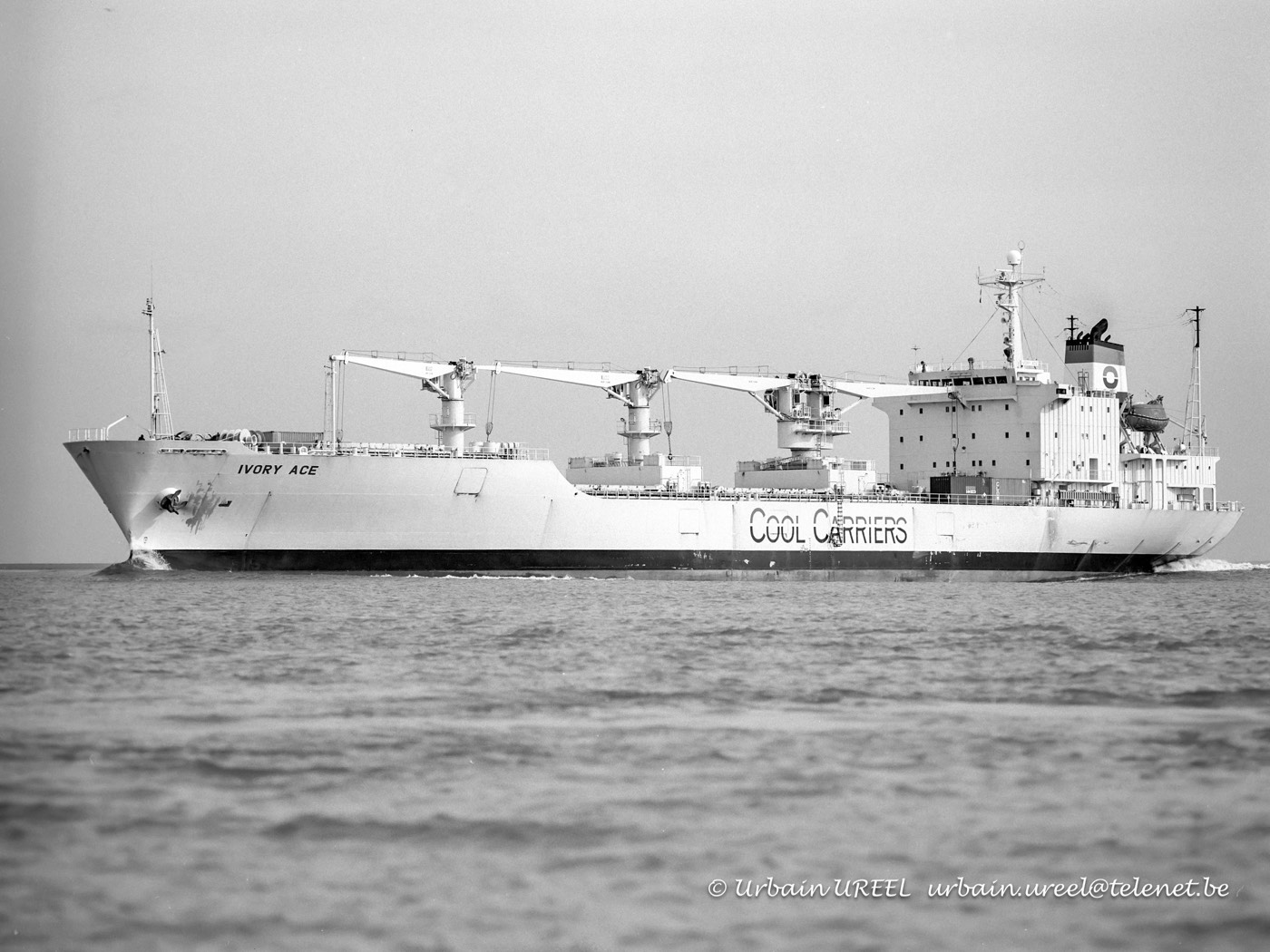 IVORY ACE (°1990) 4 MAR 1994