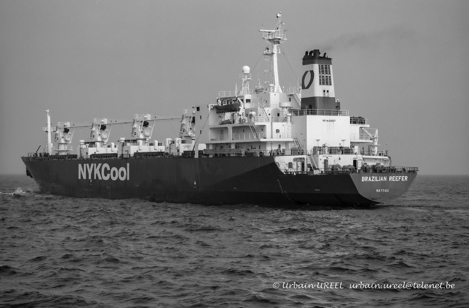 BRAZILIAN REEFER (°1984) 2 JUL 2009