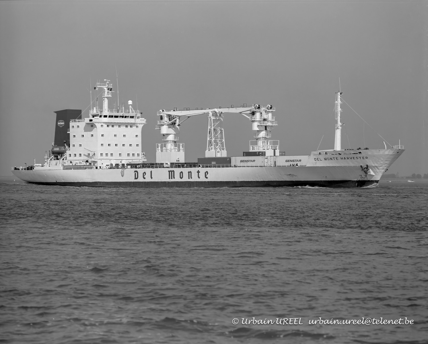 DEL MONTE HARVESTER (°1989) 23SEP1998