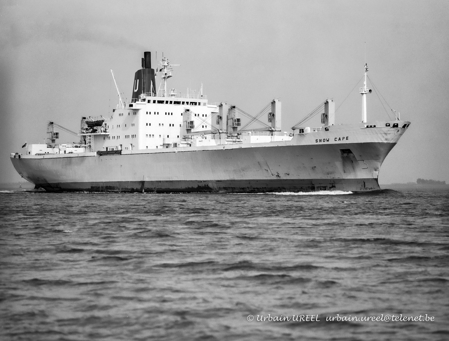 SNOW CAPE (°1973) 21 SEP 1998