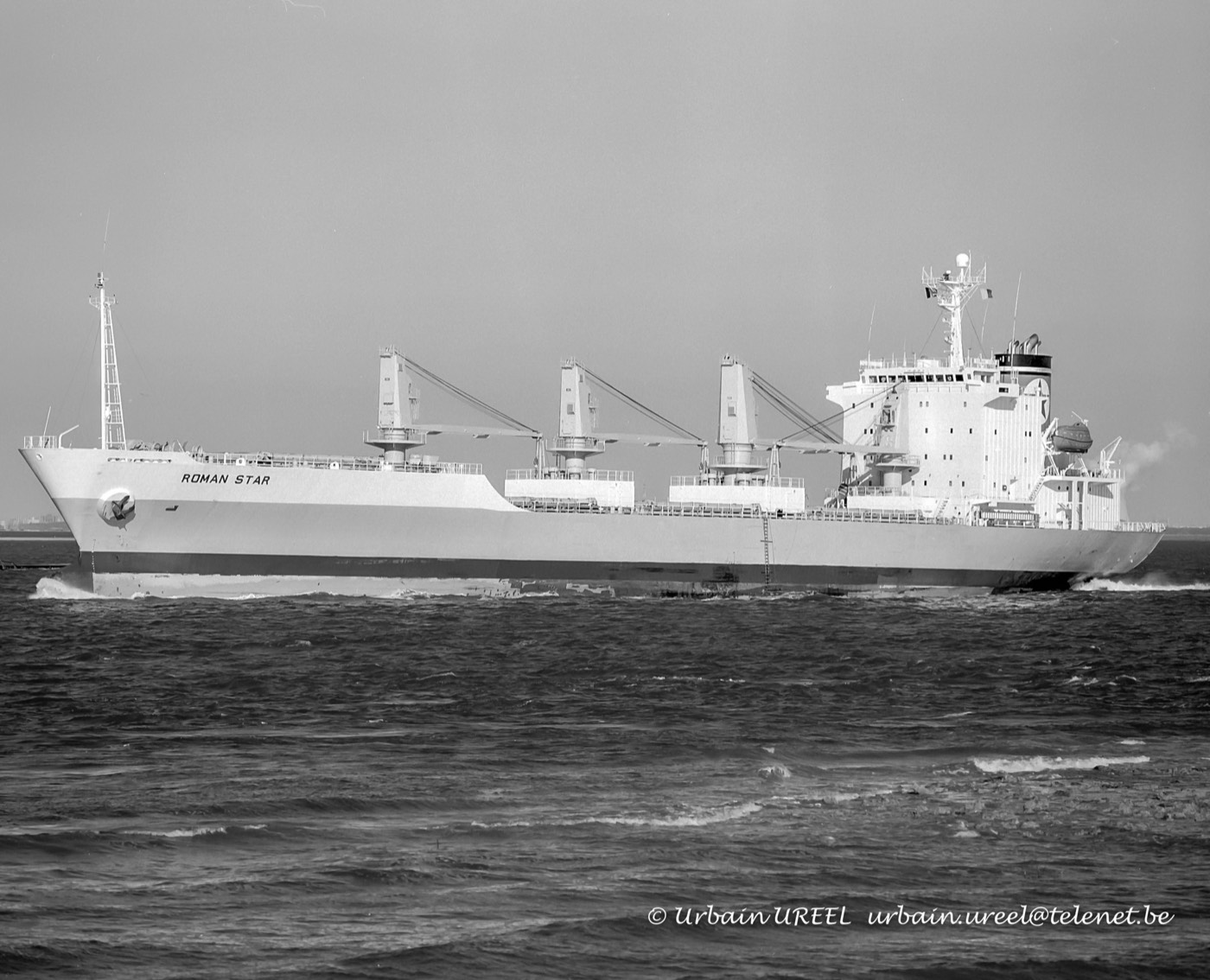 ROMAN STAR (°1992) 13JUN1996