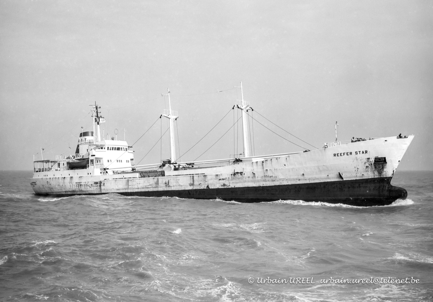 REEFER STAR(°1967) 1992