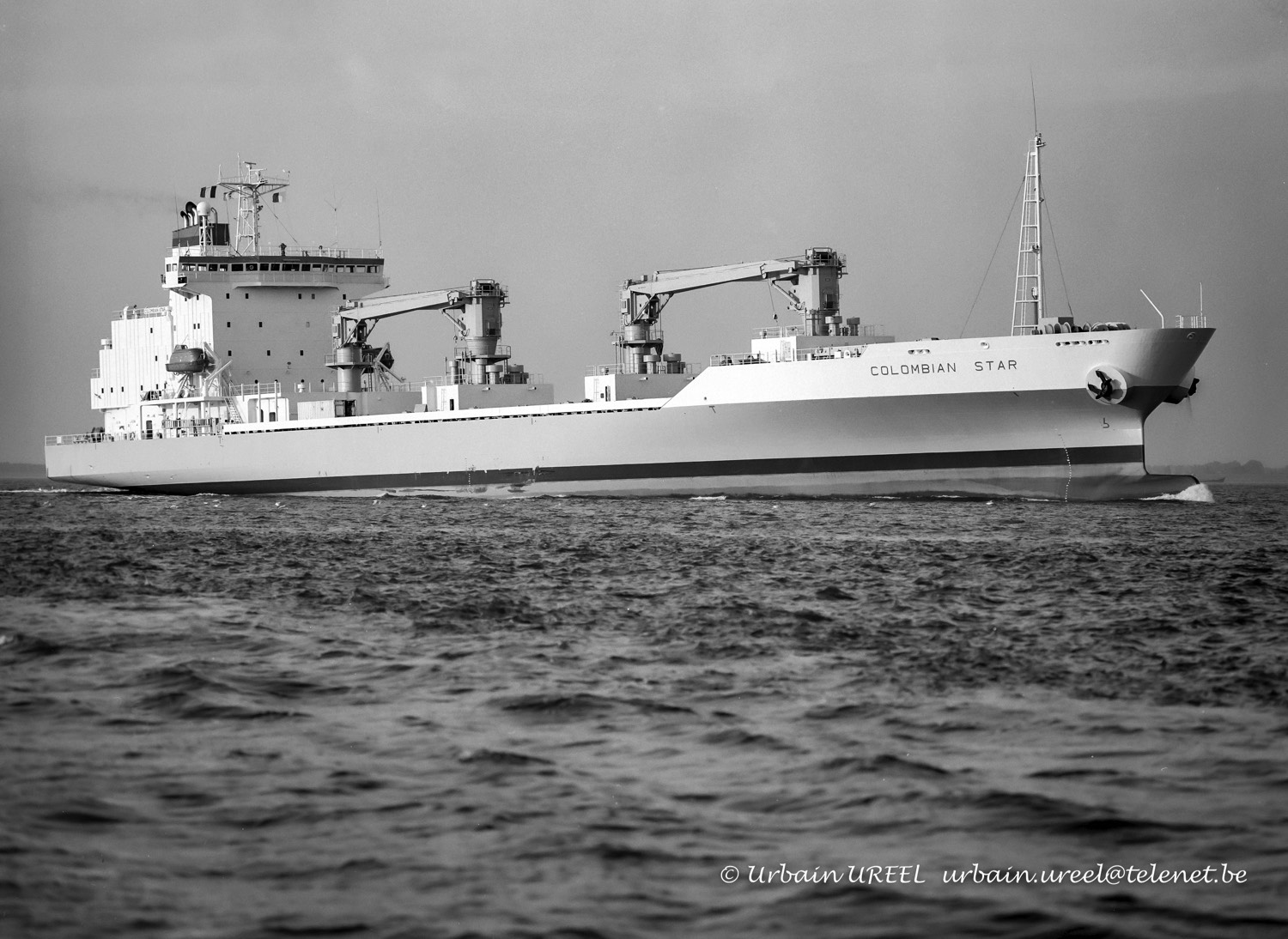 COLOMBIAN STAR (°1998) 23 SEP 1998