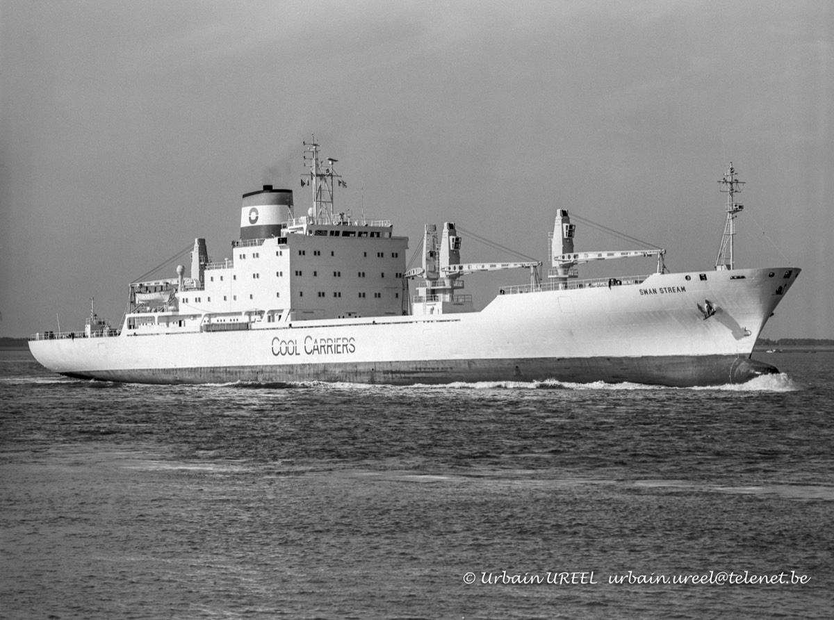 SWAN STREAM (°1979) 6 AUG 1998