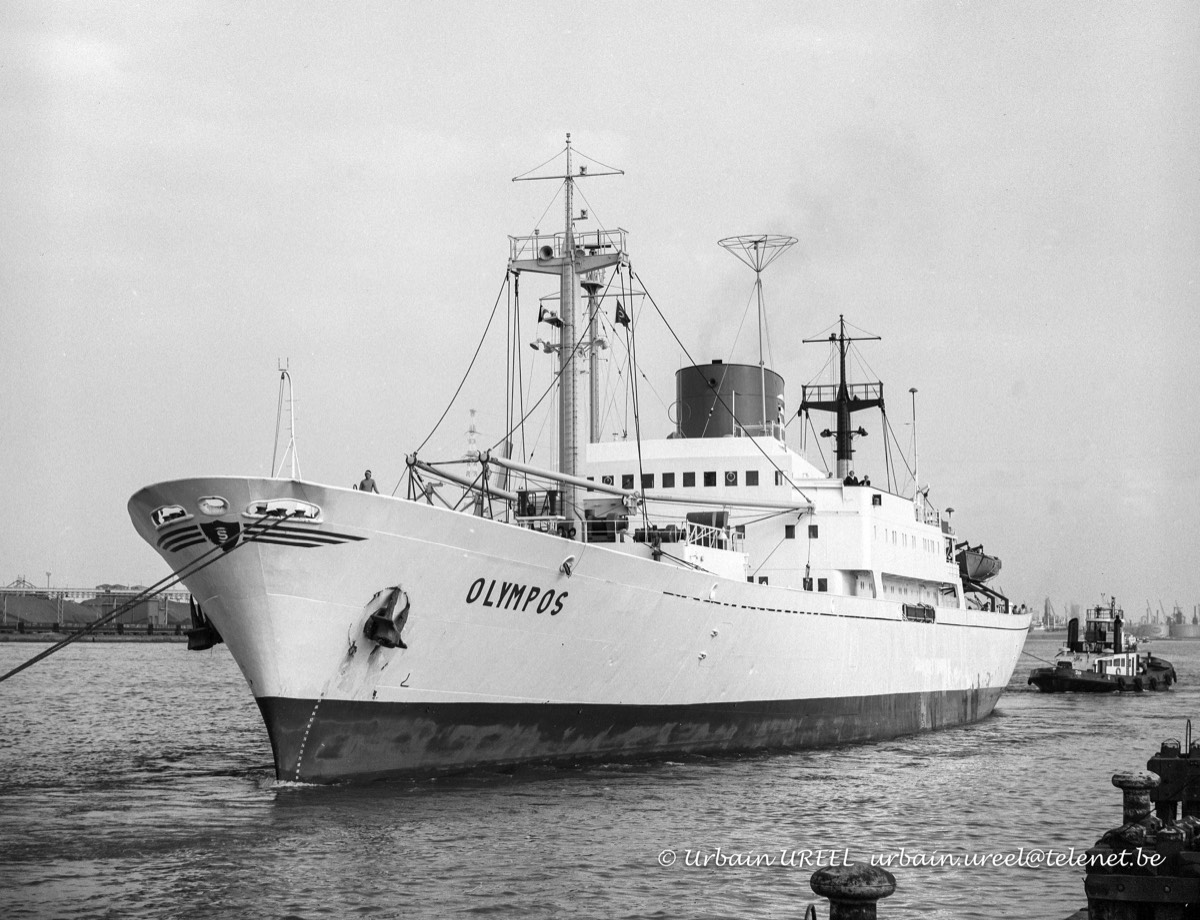 OLYMPOS (°1969) 1980