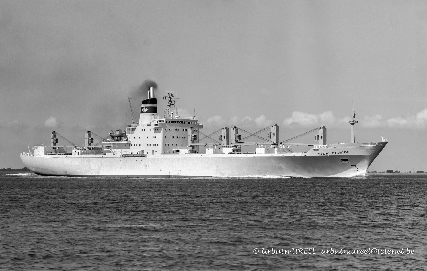 SNOW FLOWER (°1972)  12 JUL 1987