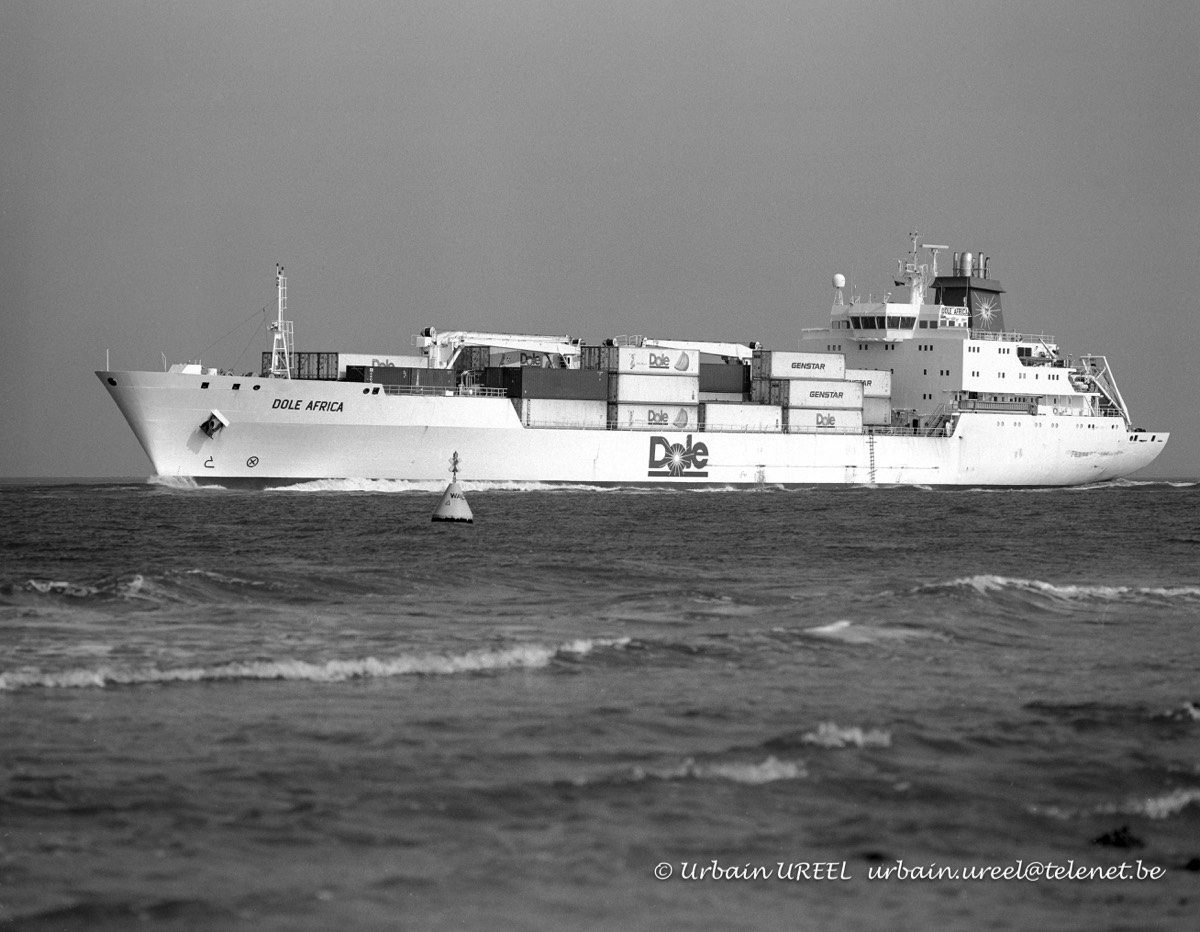 DOLE AFRICA (°1994) 7 SEP 2004