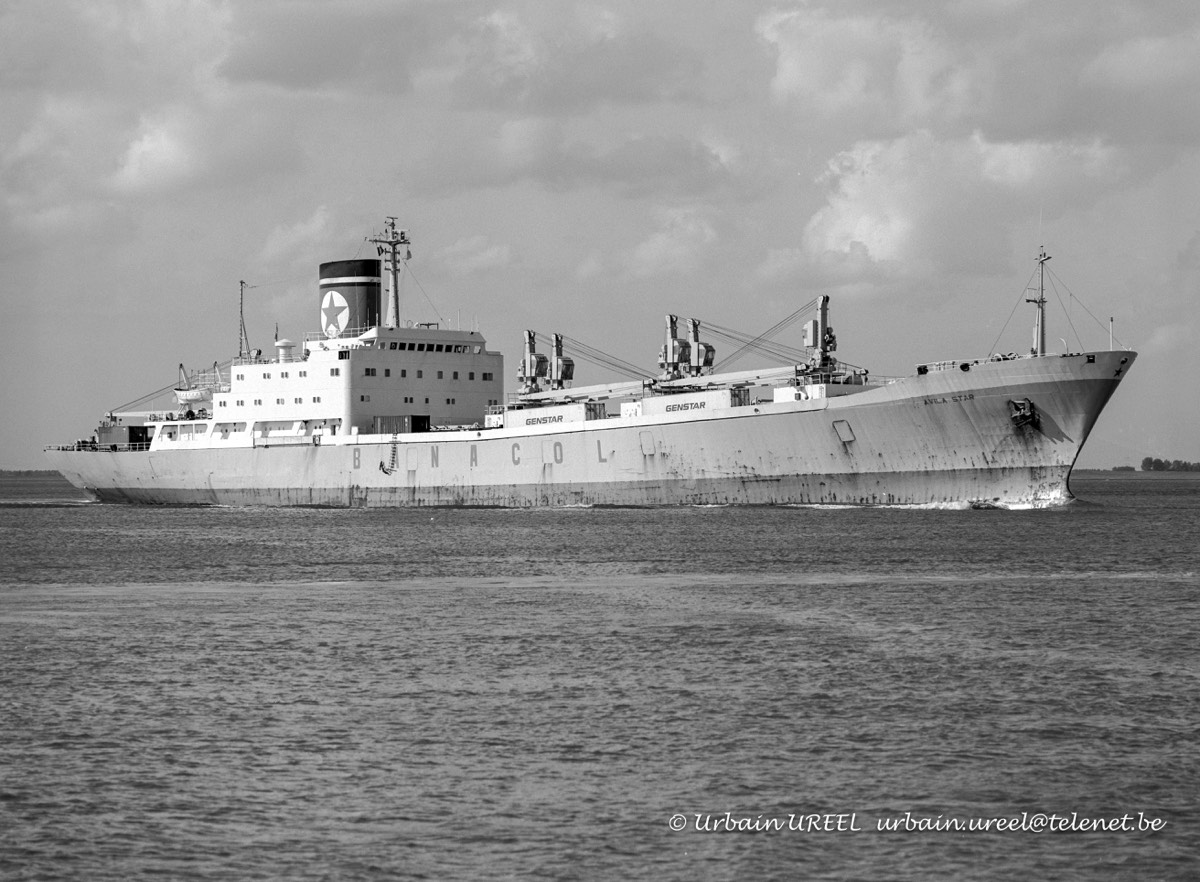 AVILA STAR (°1976) 10 JUN 1998