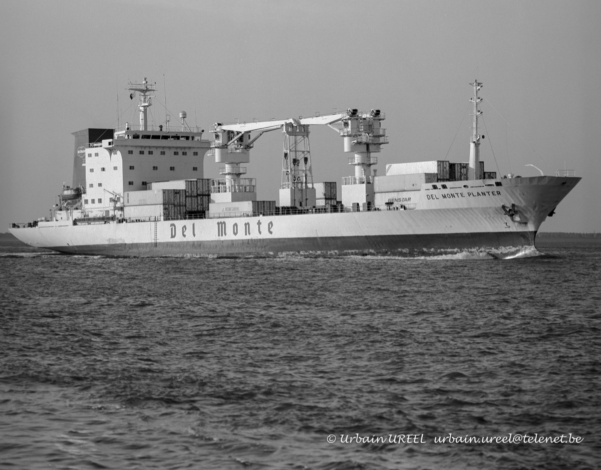 DEL MONTE PLANTER (°1989) 15 MAY 1998