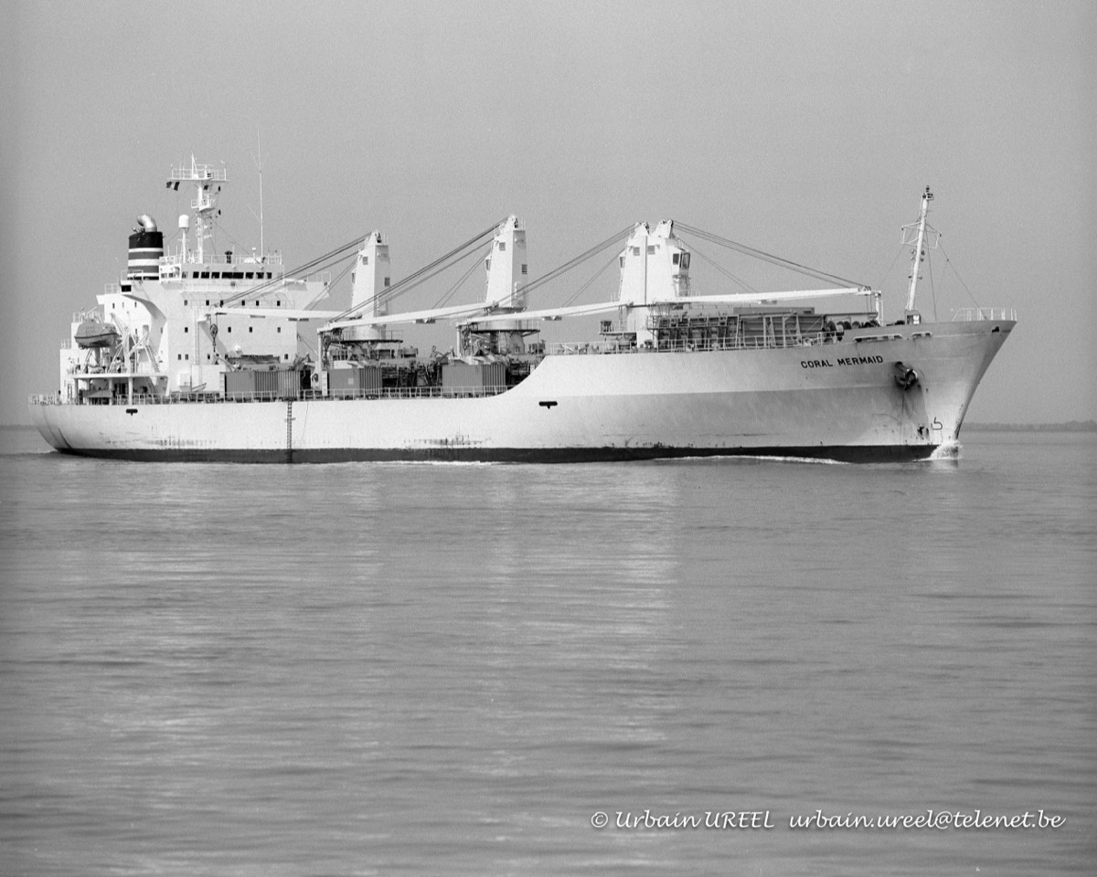 CORAL MERMAID (°1992) 13 MAY 1998