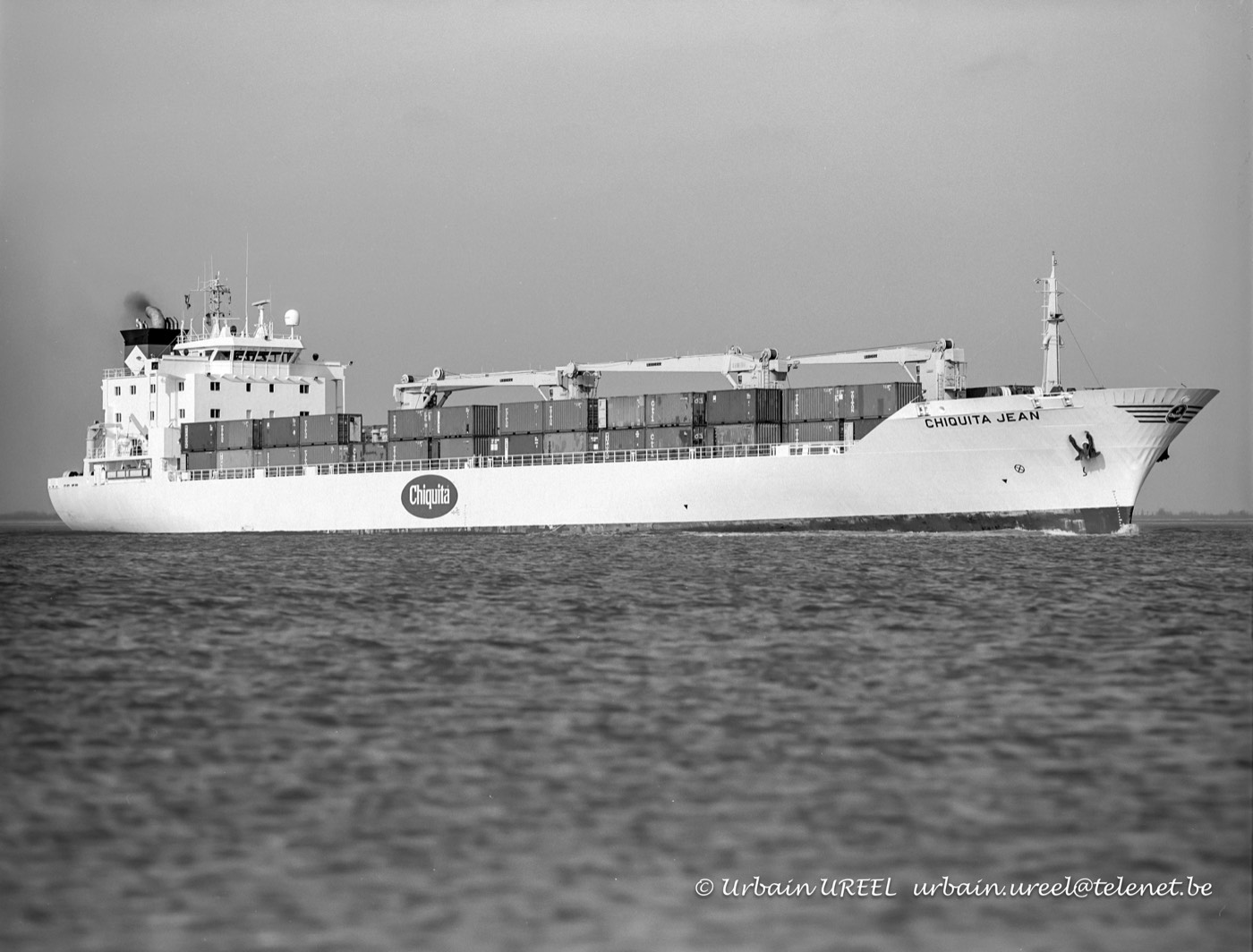 CHIQUITA JEAN (°1993) 4 MAR 1994