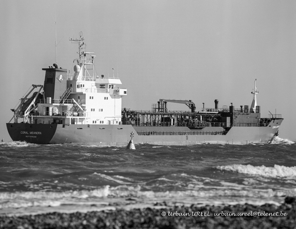 CORAL MEANDRA (°1996) 21 OCT 1997