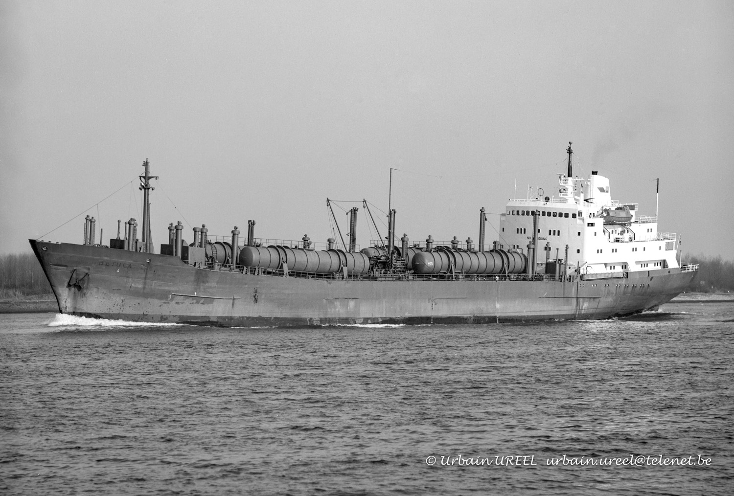 BETULA (°1970) 25 FEB 1987