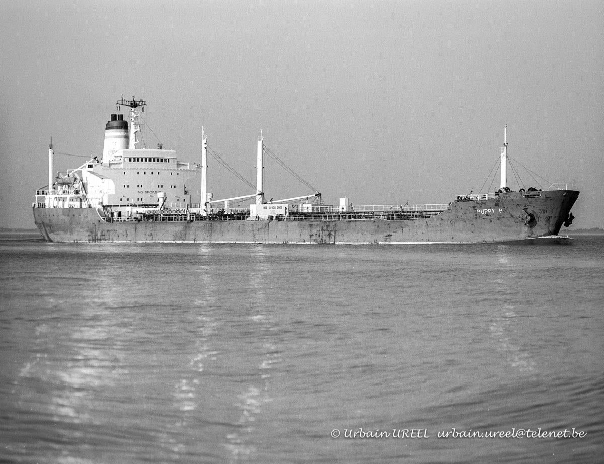 PUPPY P (°1970) 9 OCT 1995