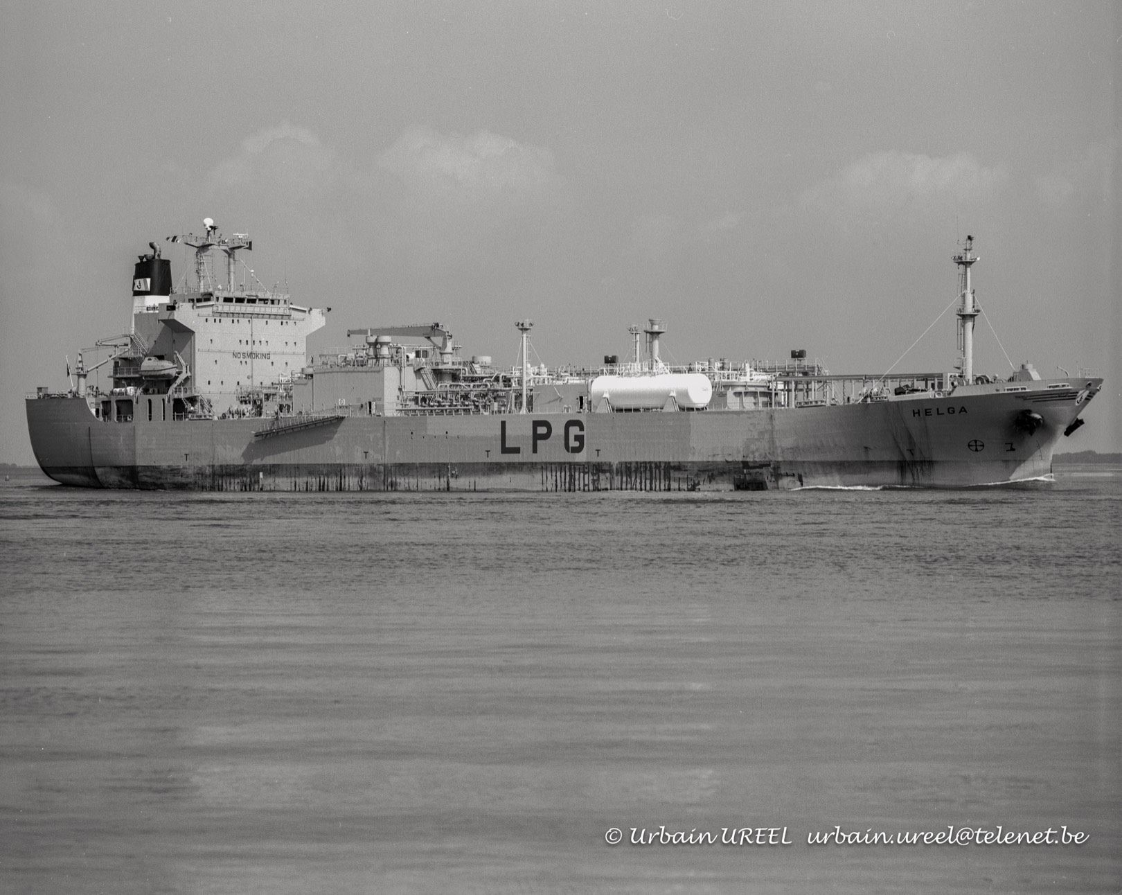 HELGA (*1994)  31 AUG 2000