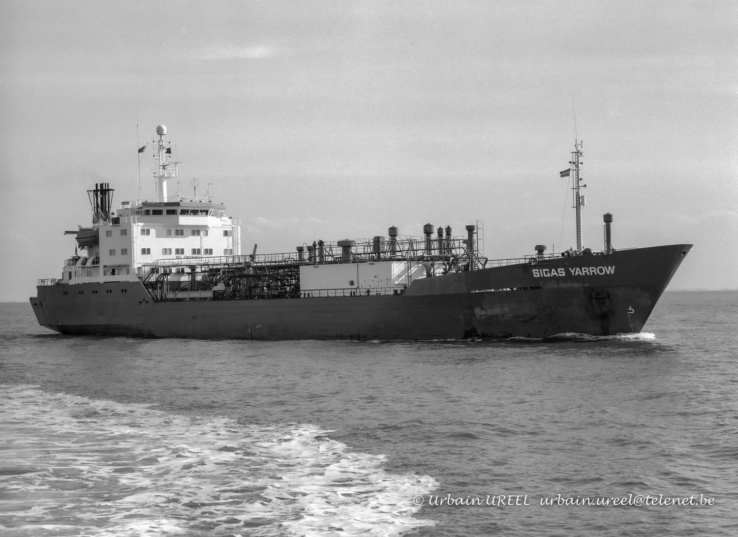 SIGAS YARROW (°1982) 9 OCT 2005