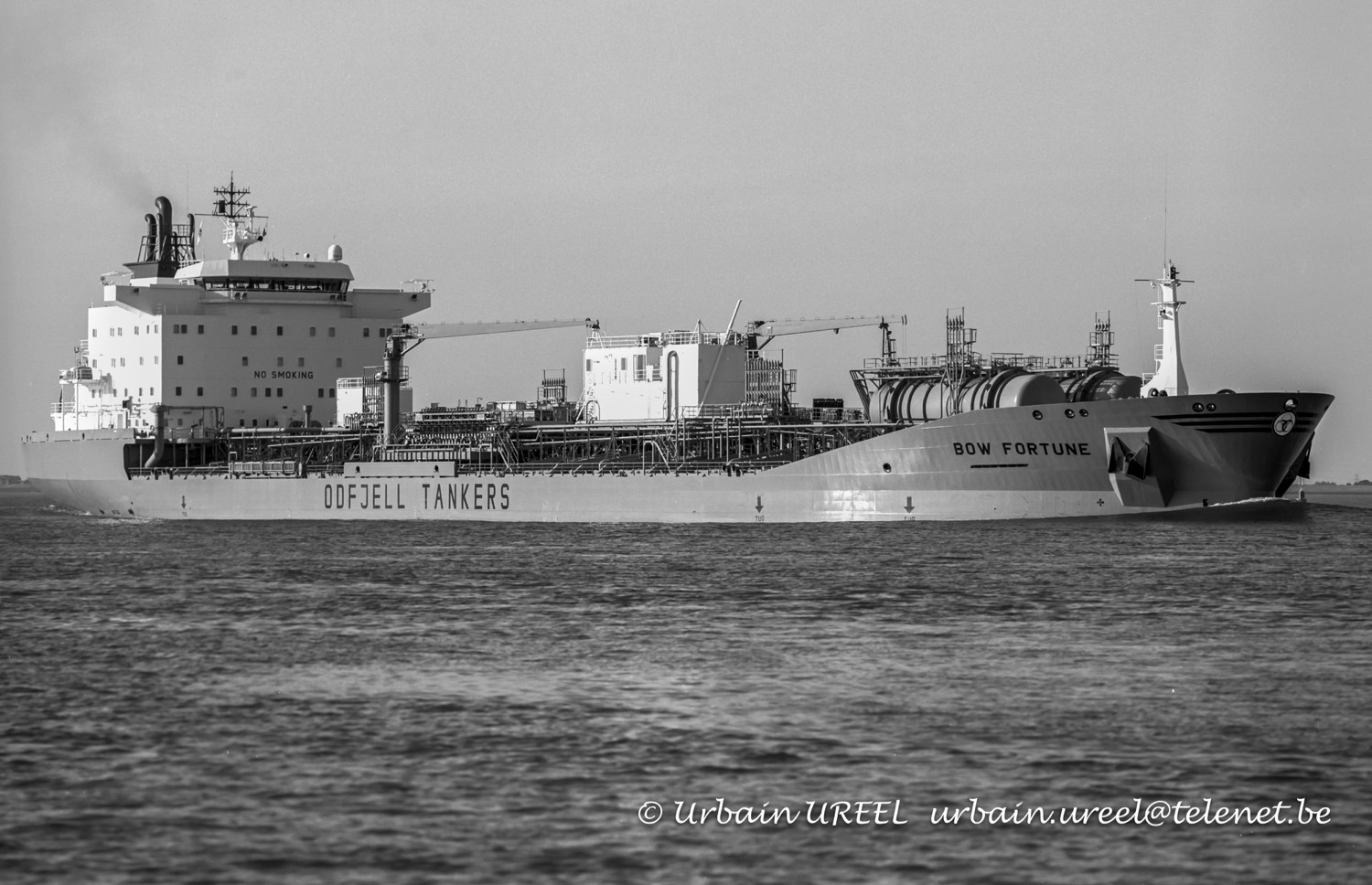 BOW FORTUNE(°1999) 30JUL2024