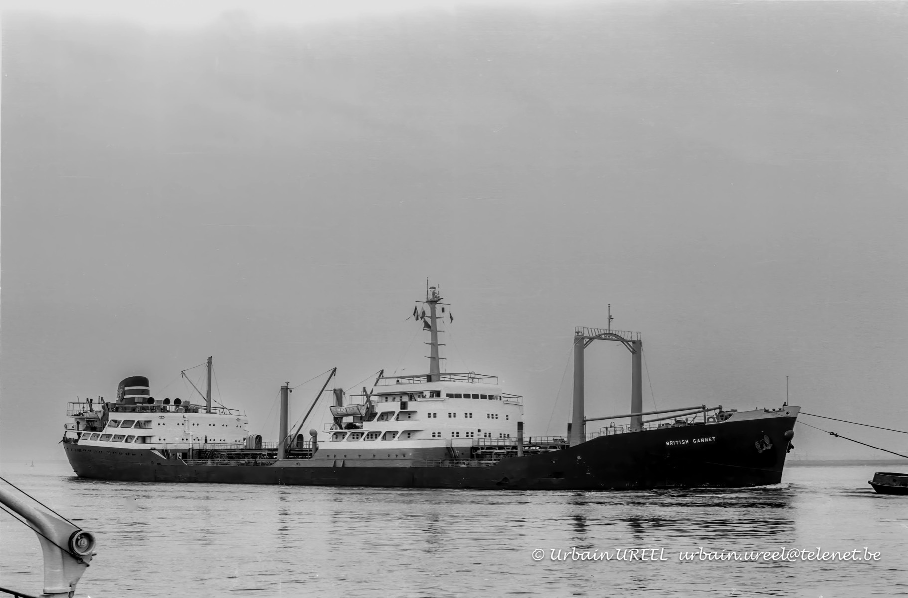 BRITISH GANNET (°1959) 1967