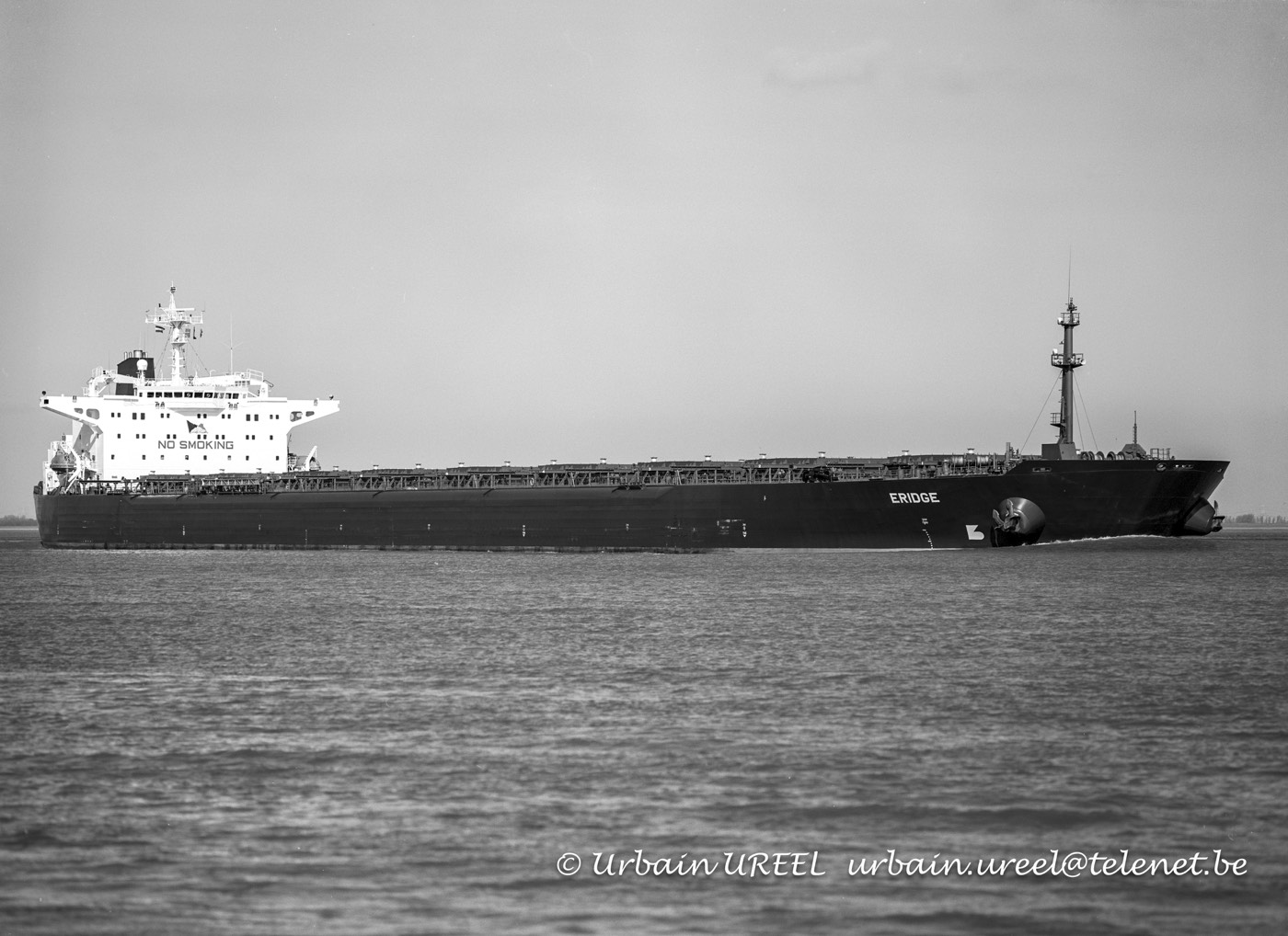 ERIDGE(*1993) 10MAR1994