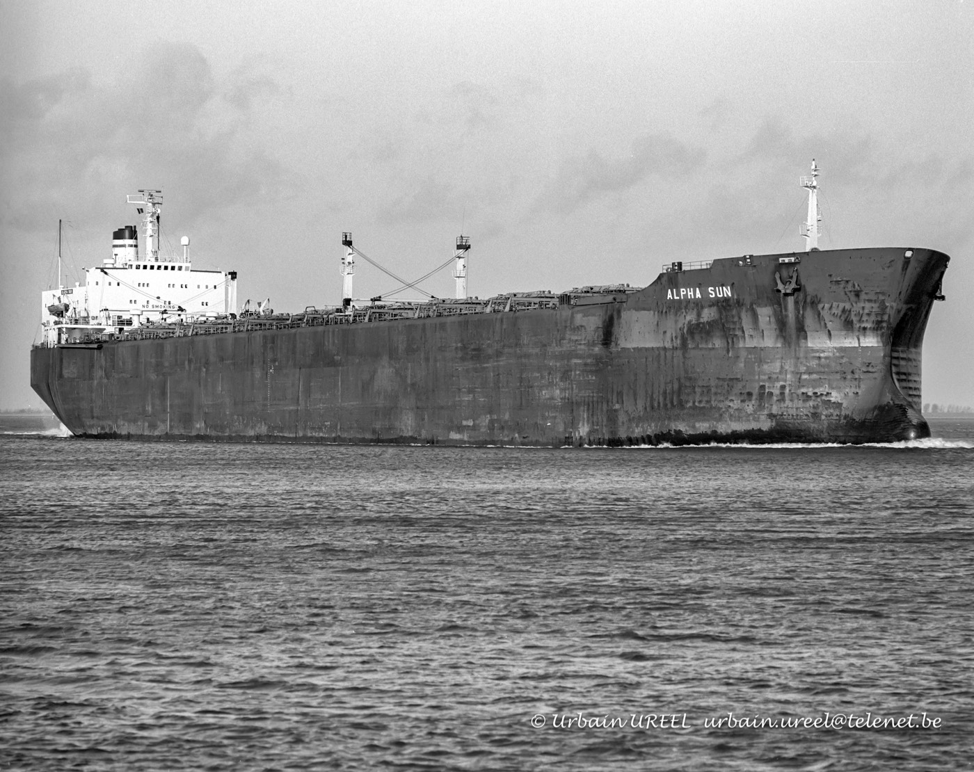 ALPHA SUN (°72) 14 JAN 1994