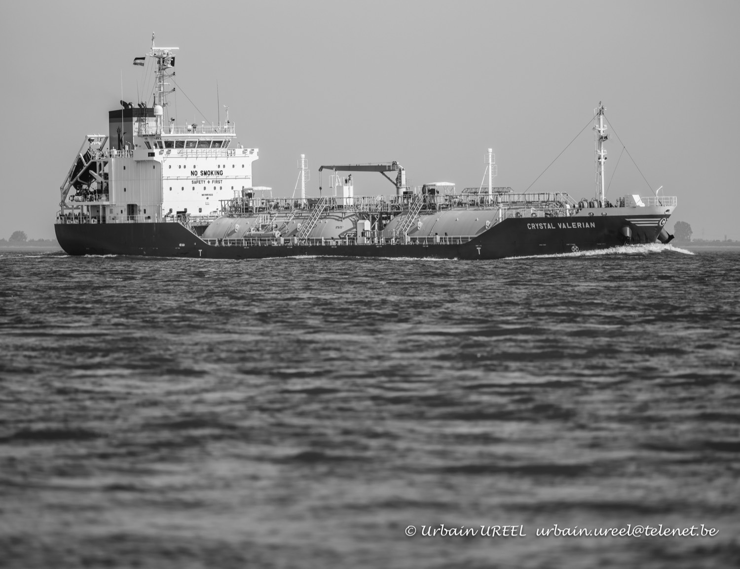 CRYSTAL VALERIAN (°2020) 3 SEP 2021