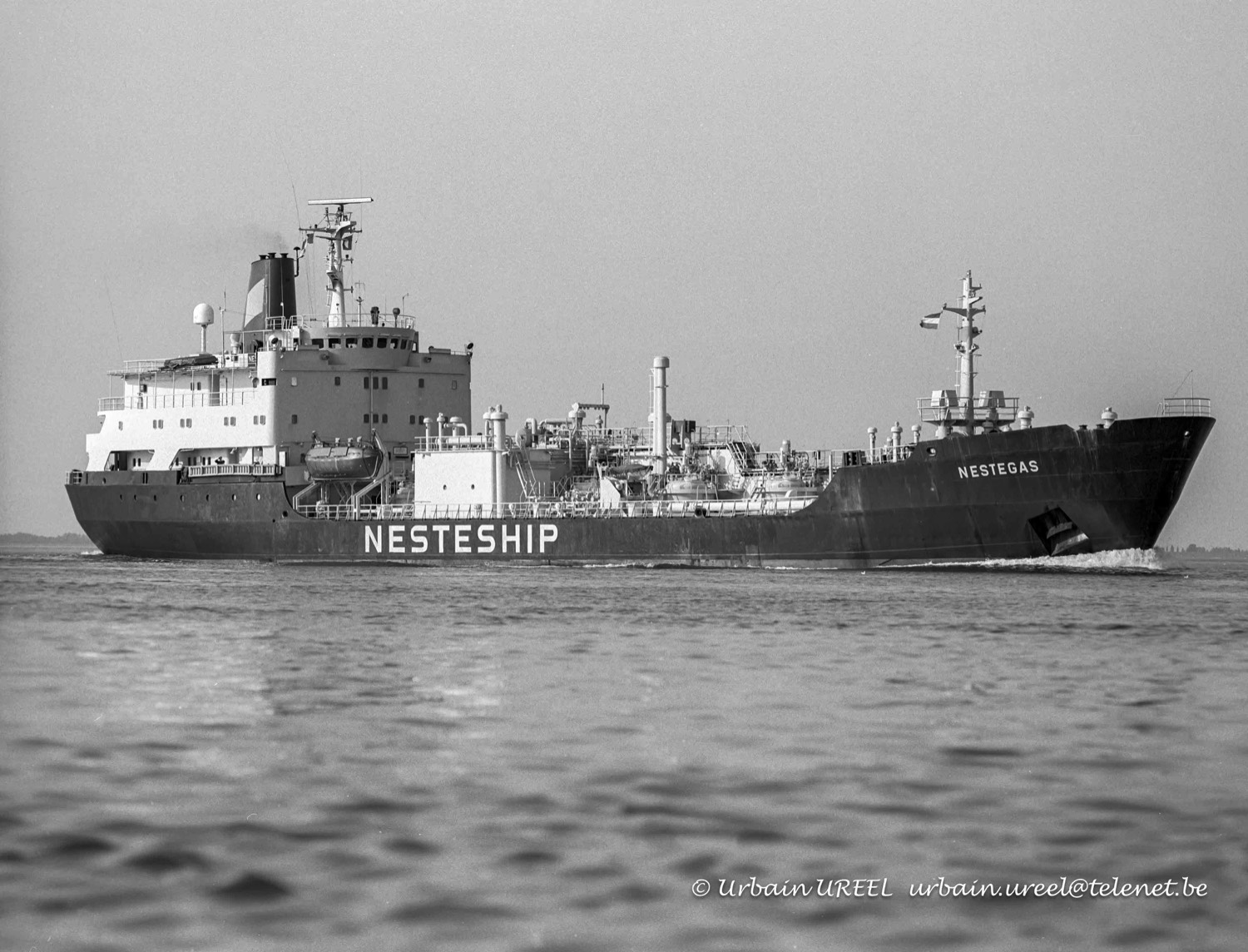 NESTEGAS(°1973) 13 AUG 1993