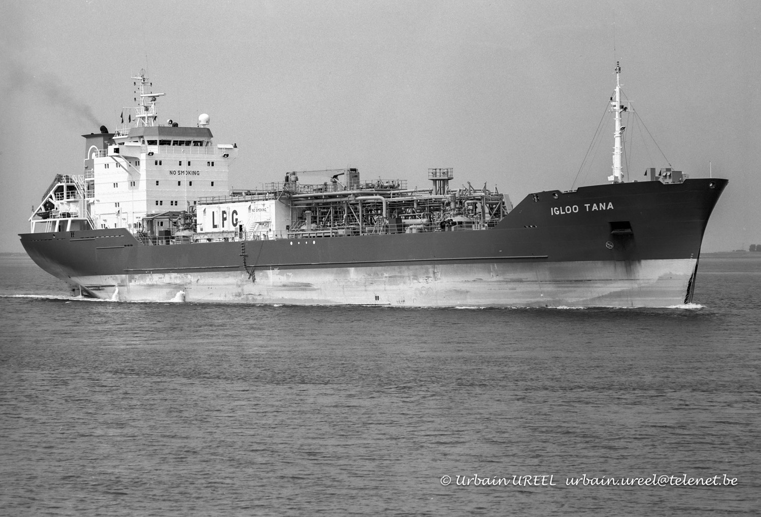 IGLOO TANA(°1992) 25 JUN 1993