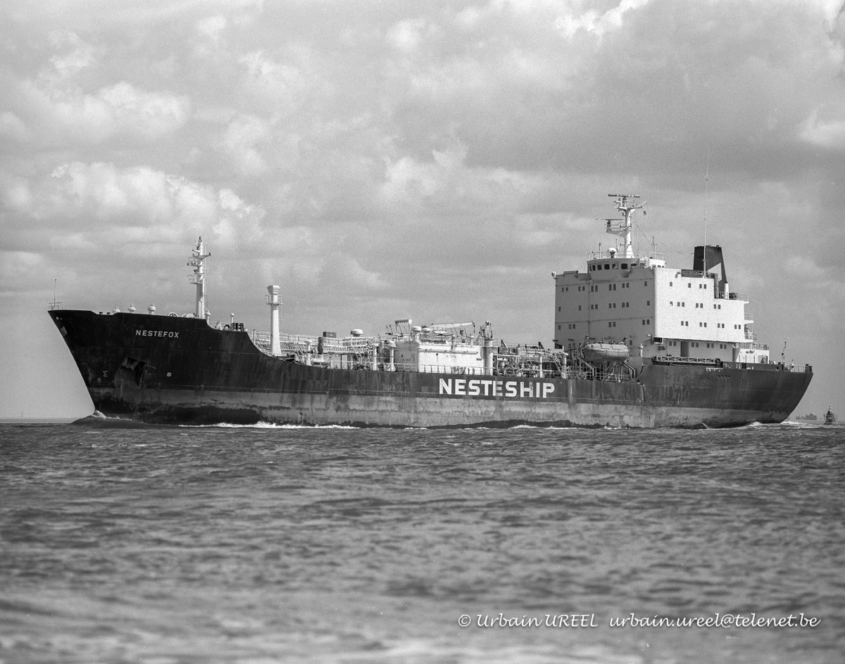 NESTEFOX (°1977) 28 AUG 1994