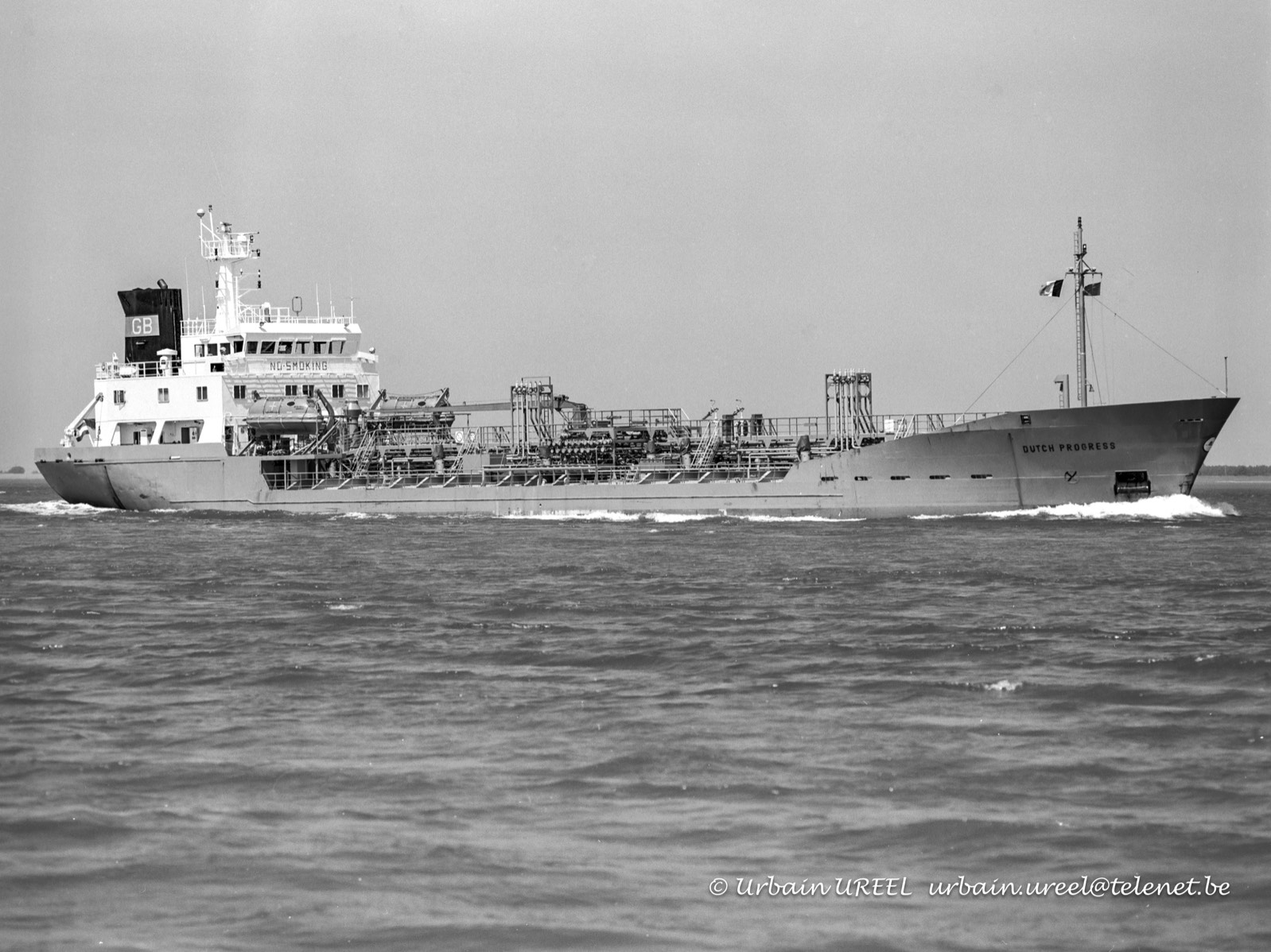 DUTCH PROGRESS (°1984) 27 JUN 1995