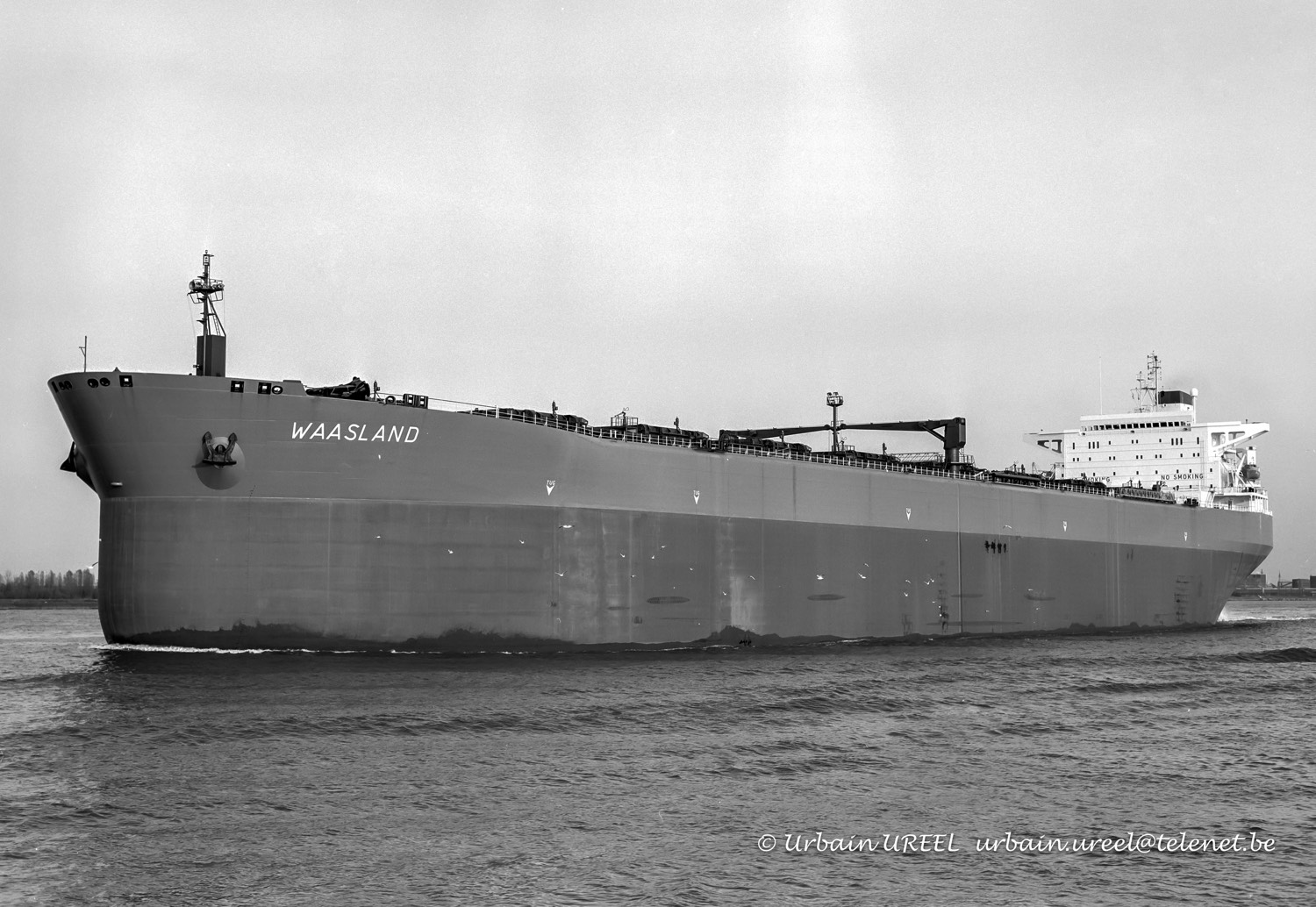 WAASLAND (°1986) 