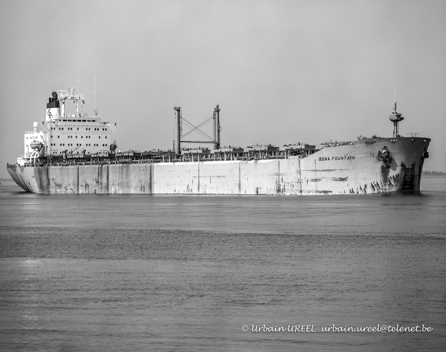 BONA FOUNTAIN (°1982) 7 JUN 1993