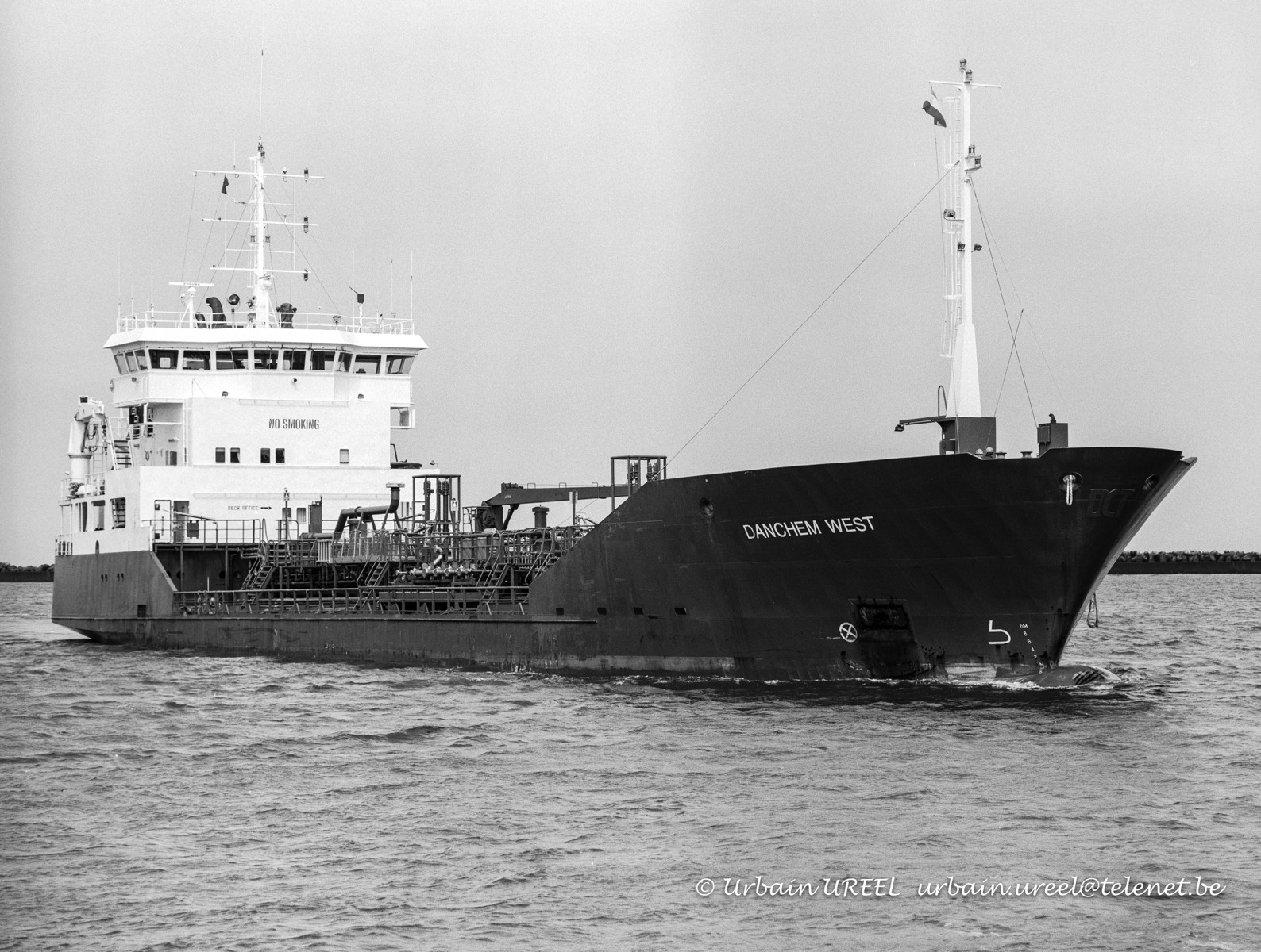 DANCHEM WEST (°1992) 30 APR 2000