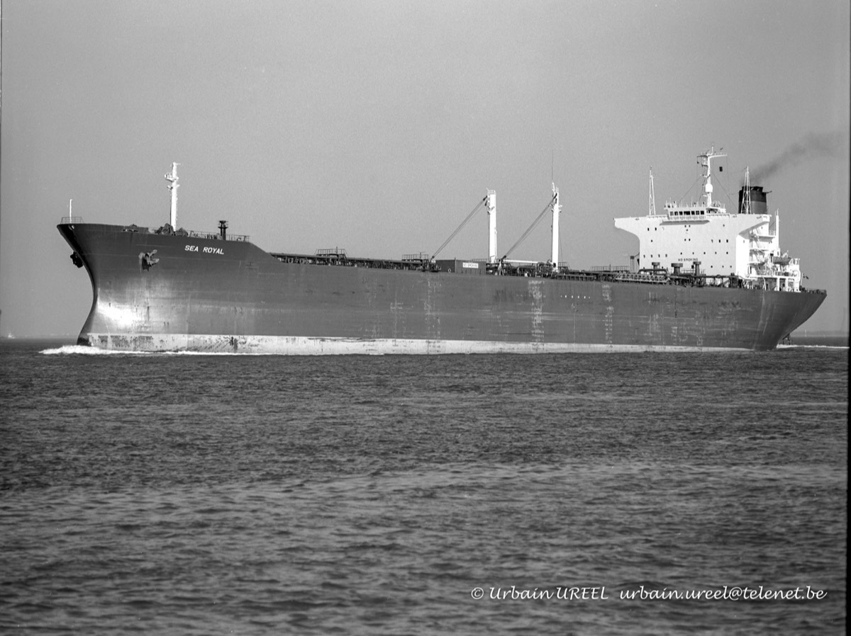 SEA ROYAL (°1974) 19 AUG 1996