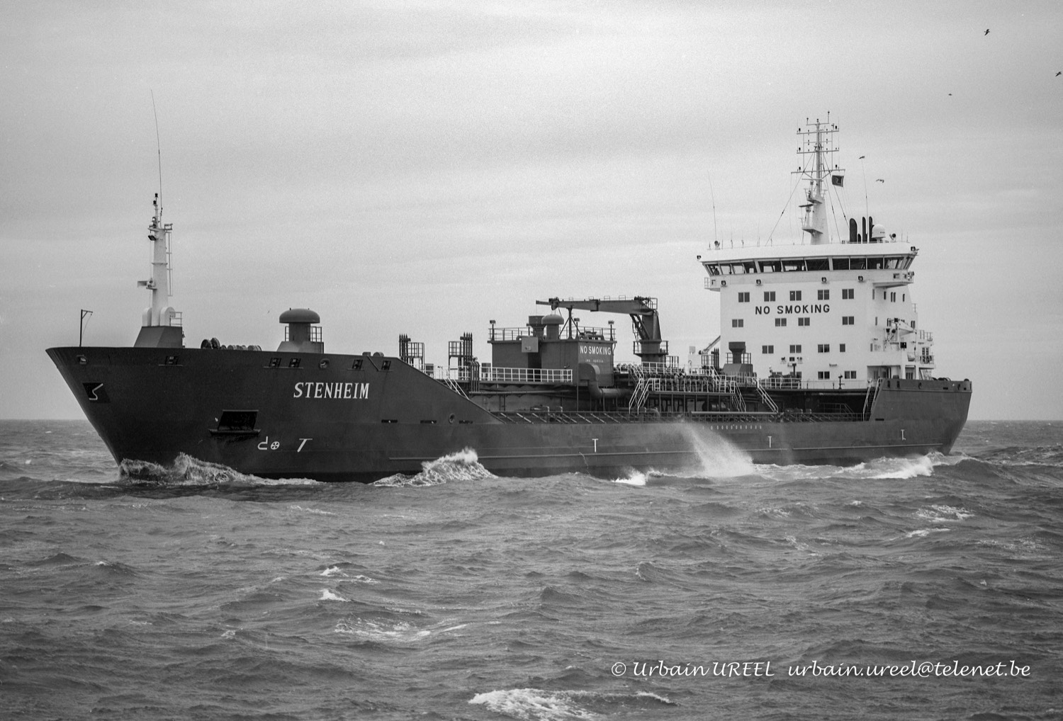 STENHEIM (°2003) 1 DEC  2006