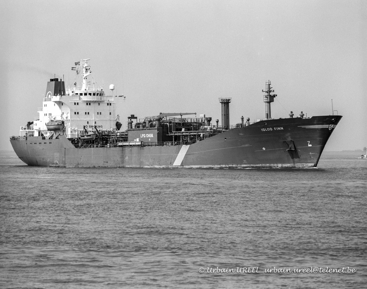 IGLOO FINN (°1981) 14 MAY 1998