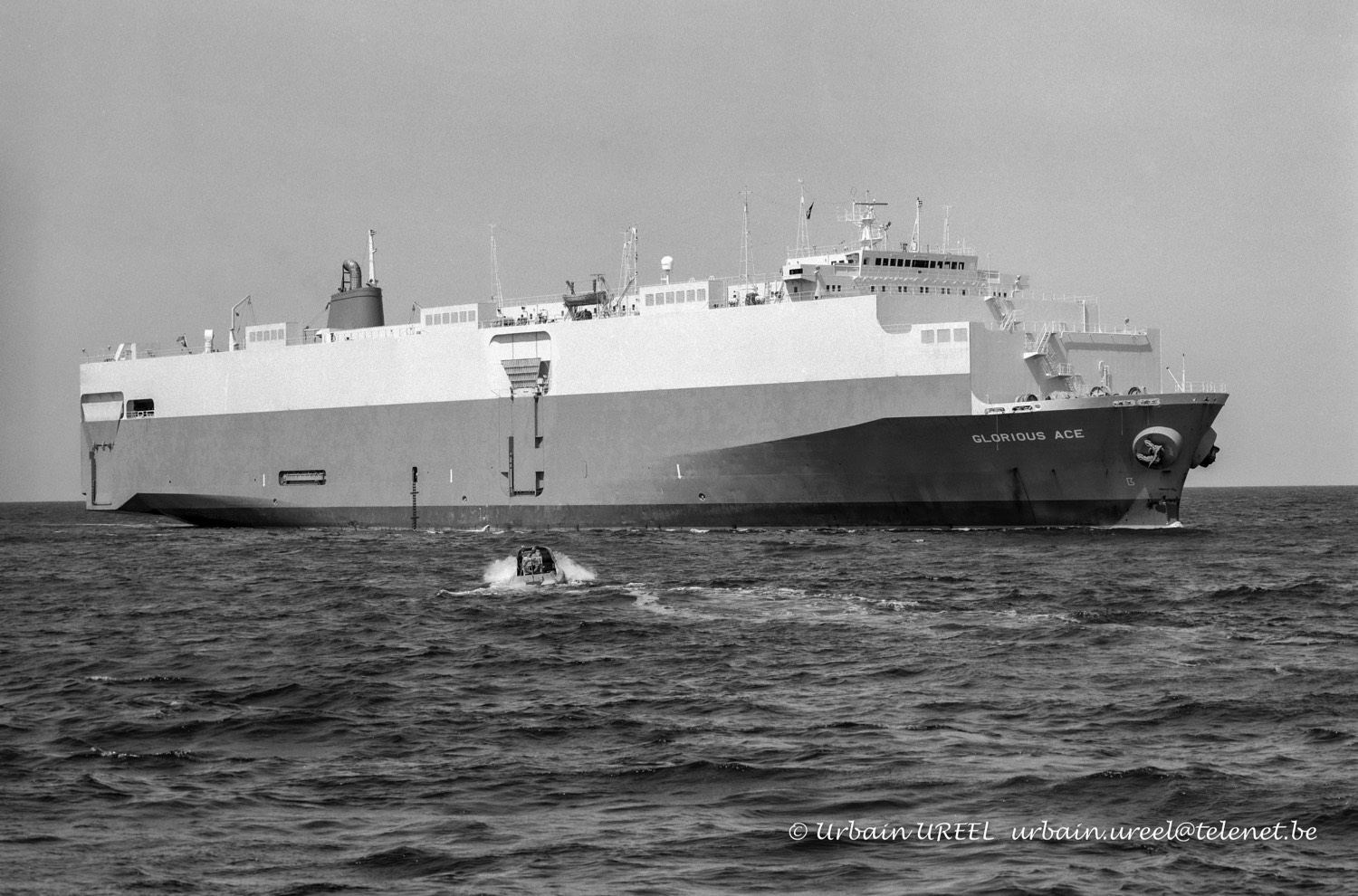 GLORIOUS ACE (°1981) 8 JUN 2005