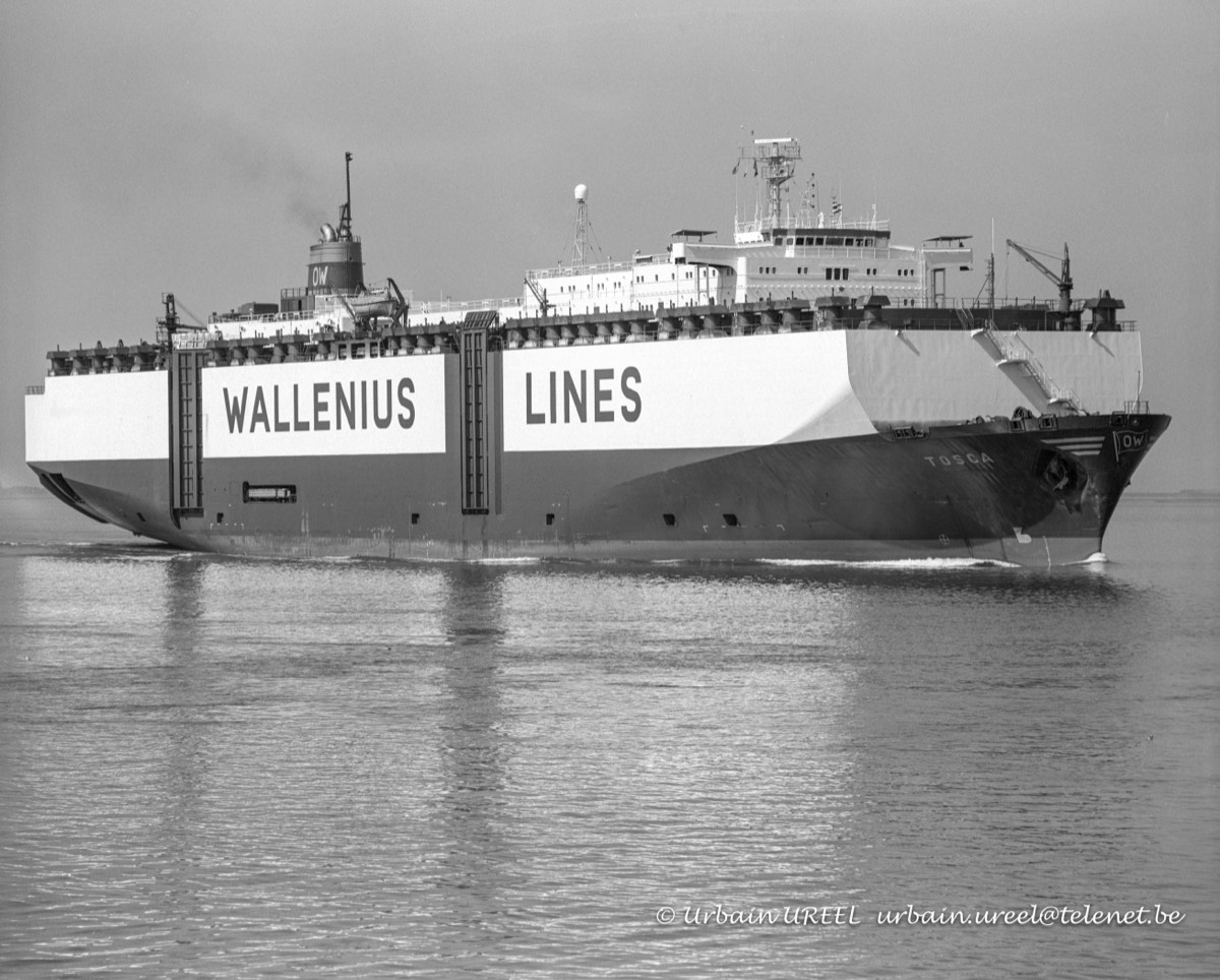 TOSCA (°1978) 26 JUL 1990