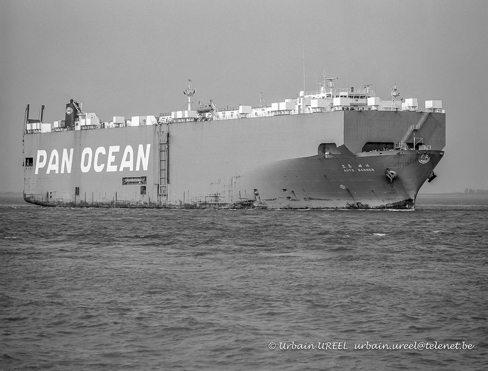 AUTO BANNER (°1988) 