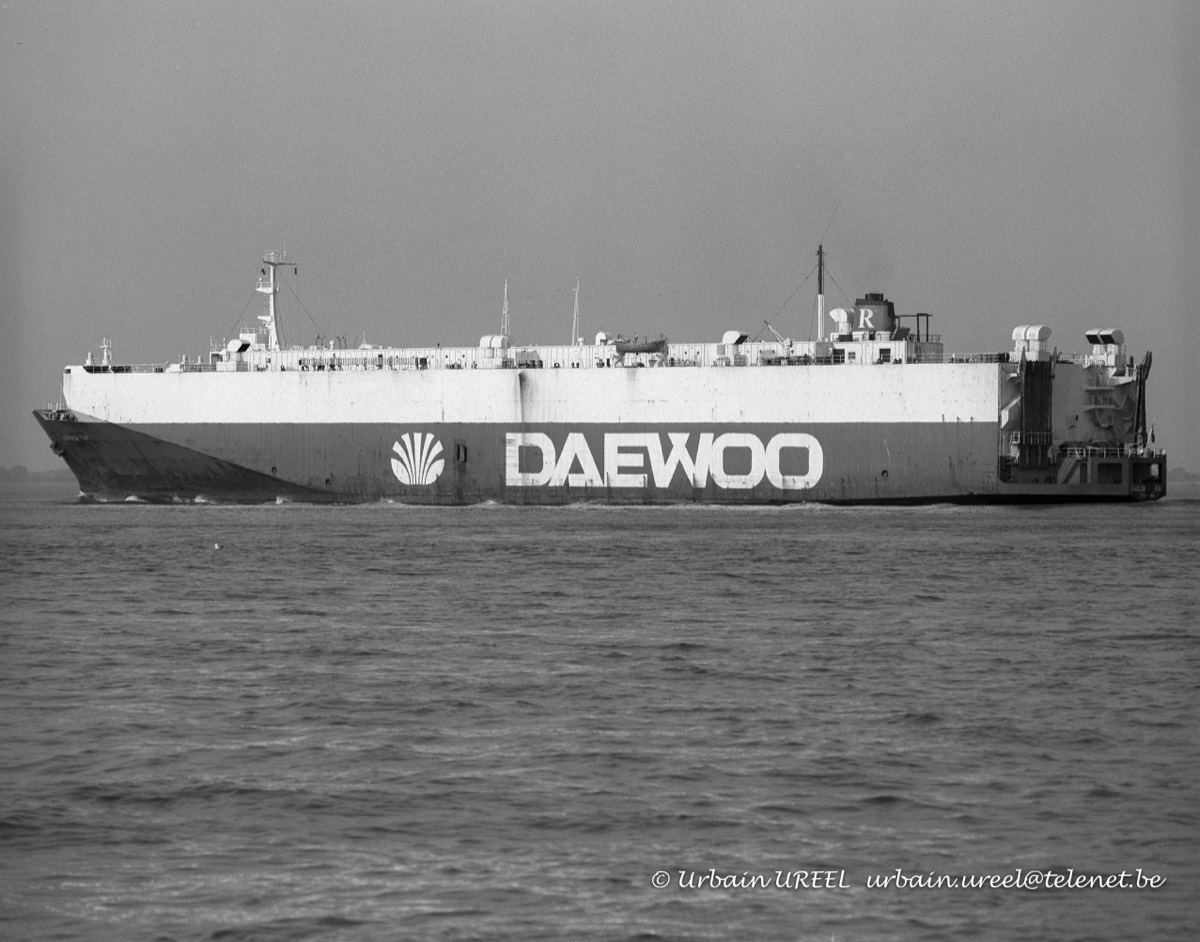 GOLDEN RAY (°1973) 14 MAY 1998