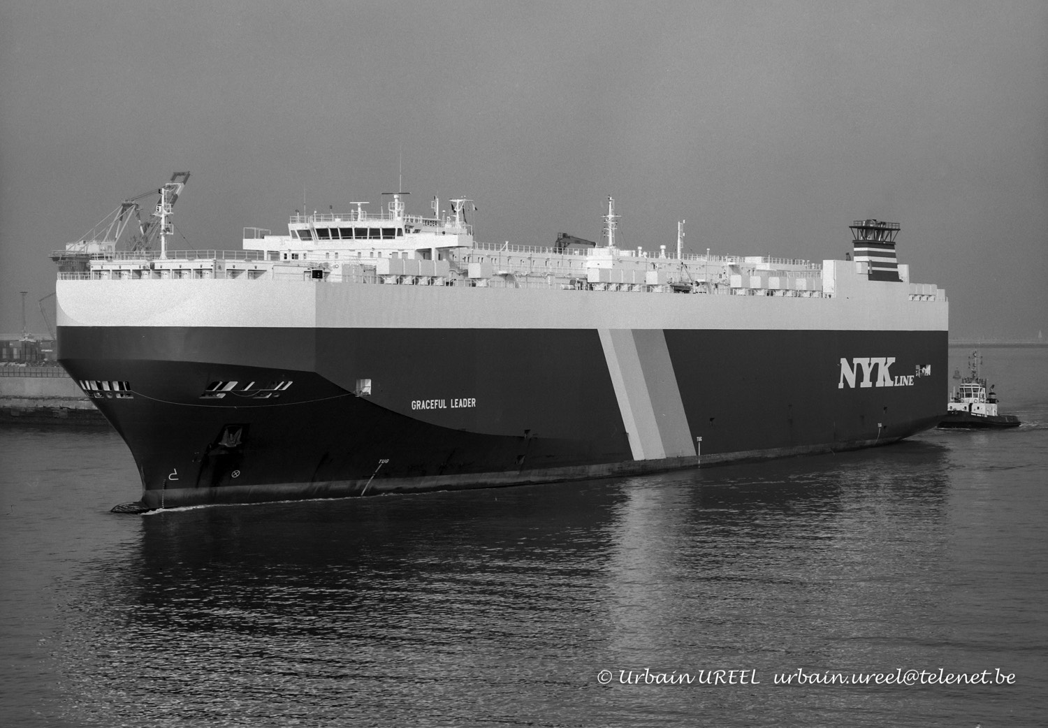 GRACEFUL LEADER (°2007) 2009