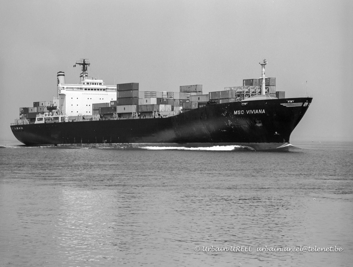 MSC VIVIANA (°1971) 26 JUL 1996