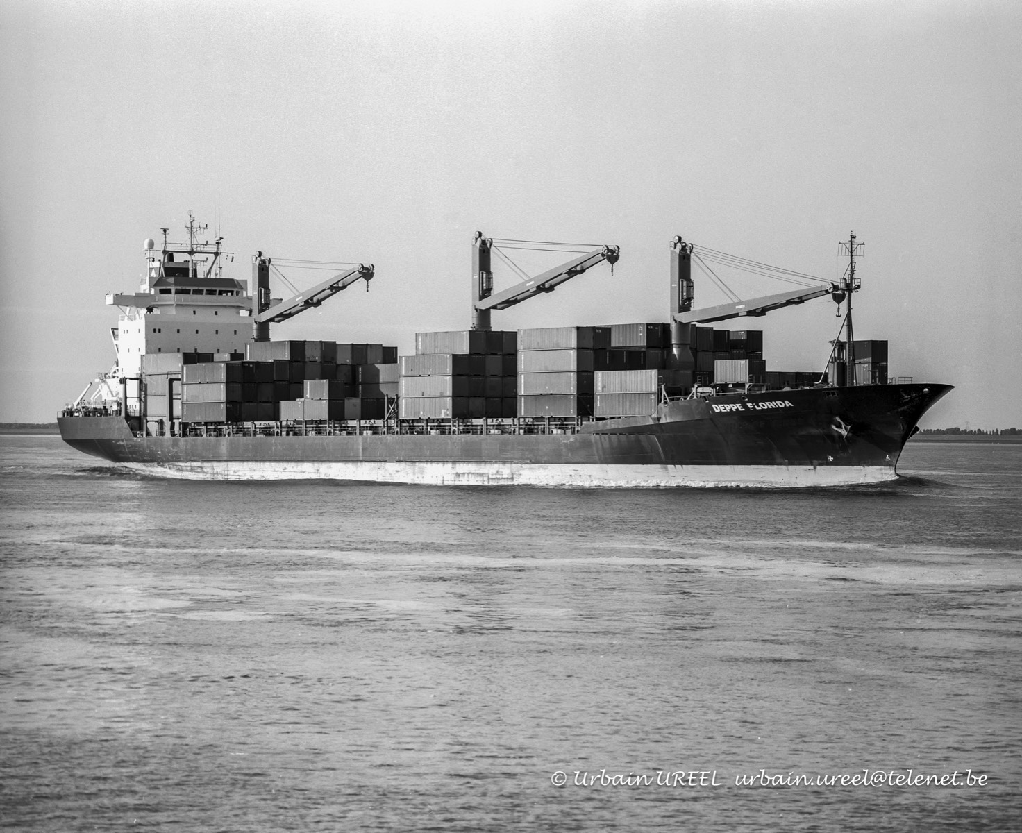 DEPPE FLORIDA (°1988) 27 MAY 1993