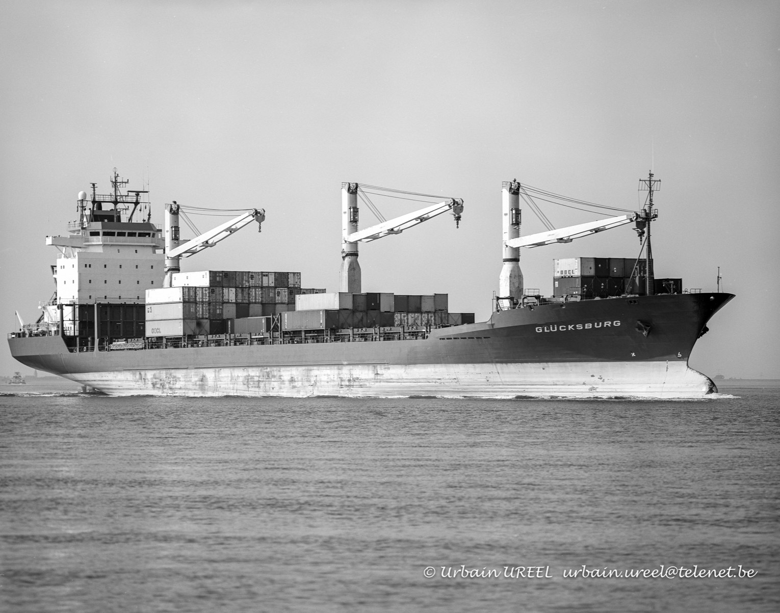 GLUCKSBURG (°1988) 7 JUN  1993