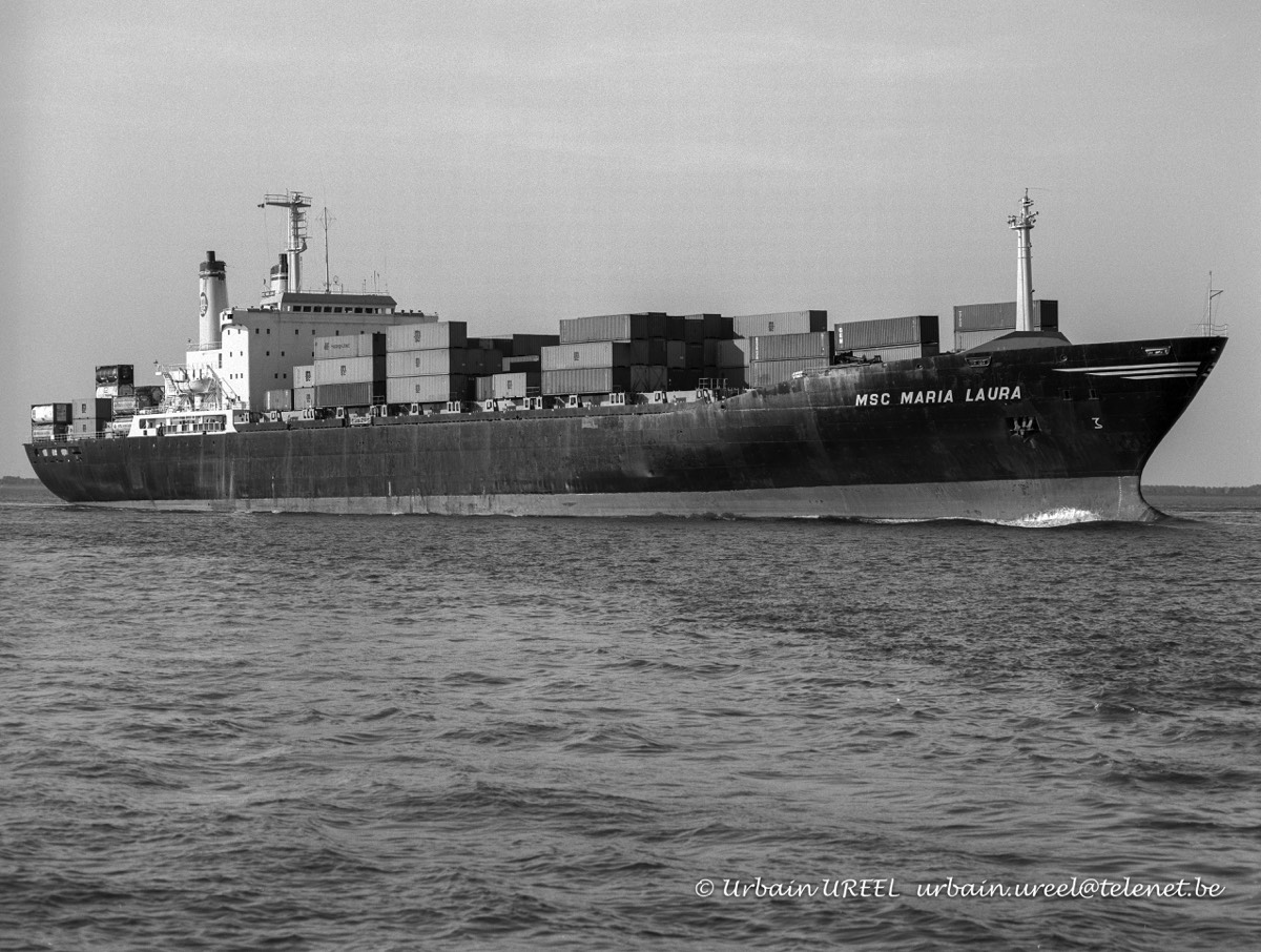 MSC MARIA LAURA (°1973) 15 MAY 1998